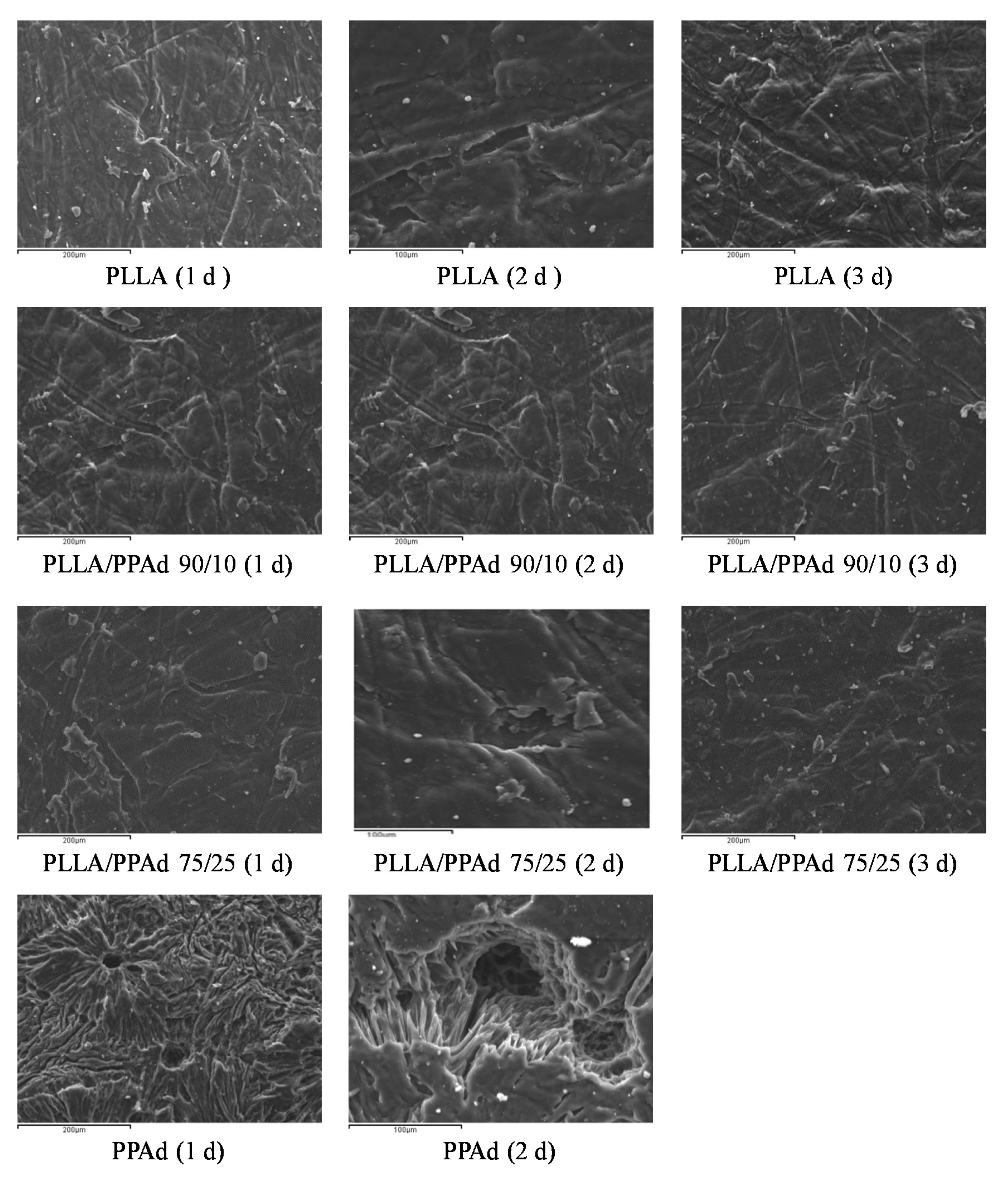 Polymers 12 00852 g009
