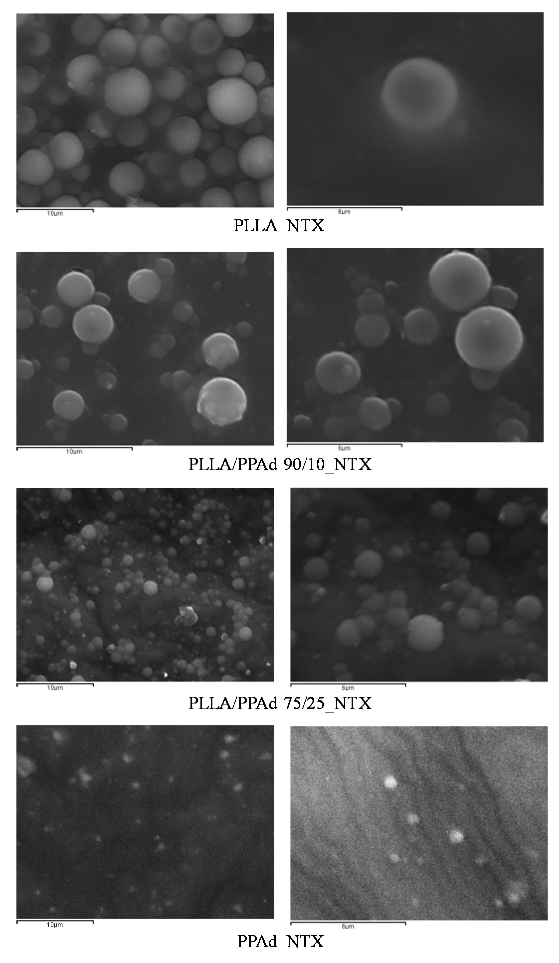 Polymers 12 00852 g010