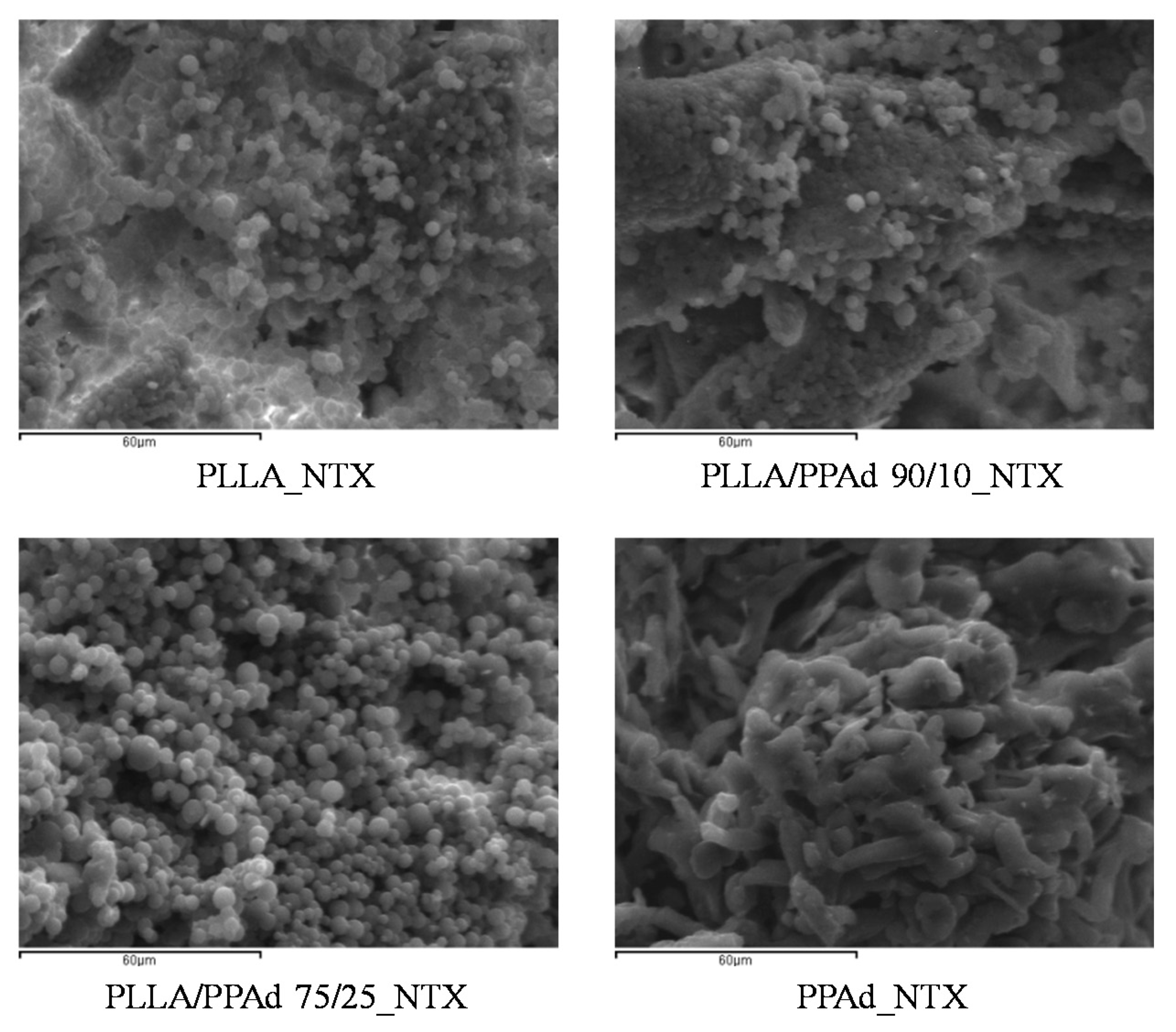 Polymers 12 00852 g015