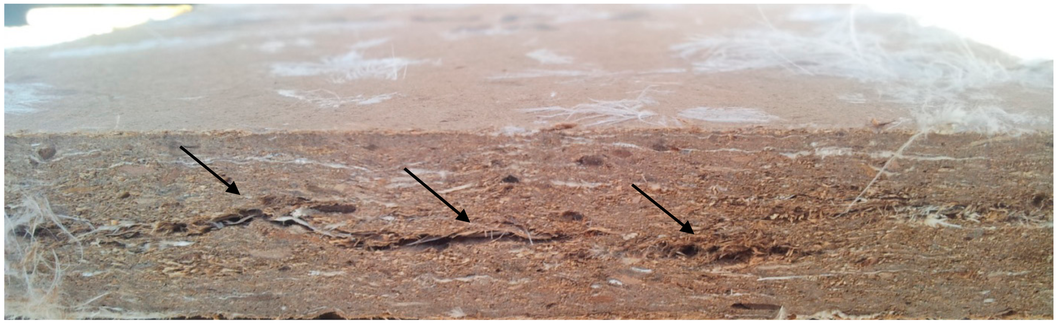 Polymers 12 00857 g003