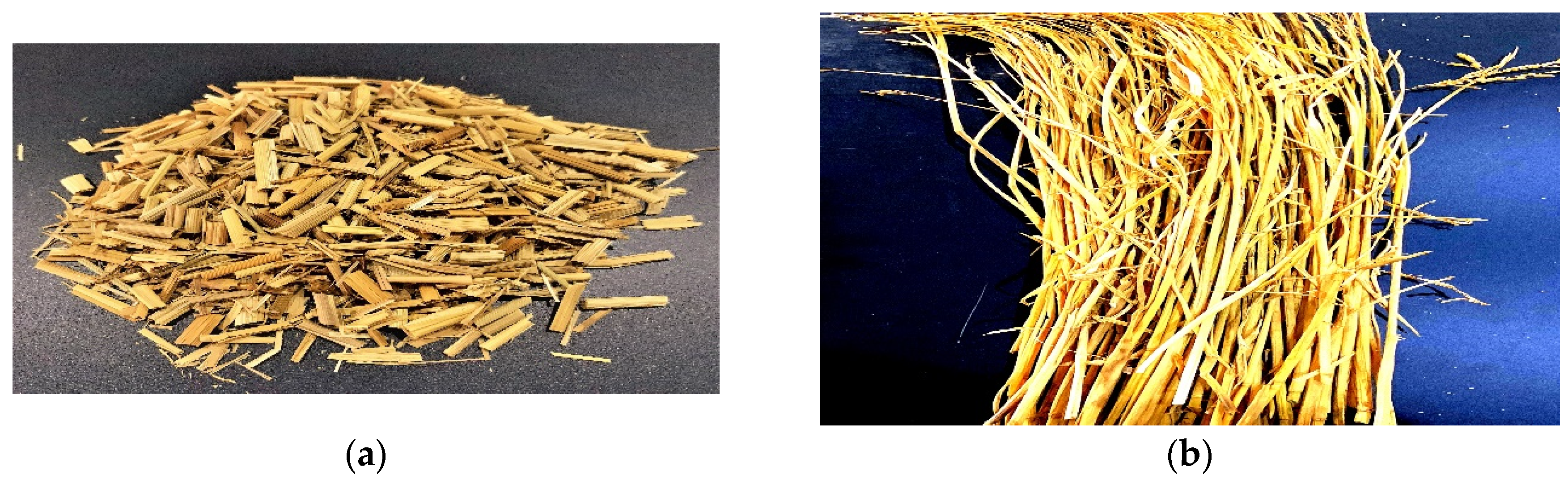 Polymers 12 00860 g002