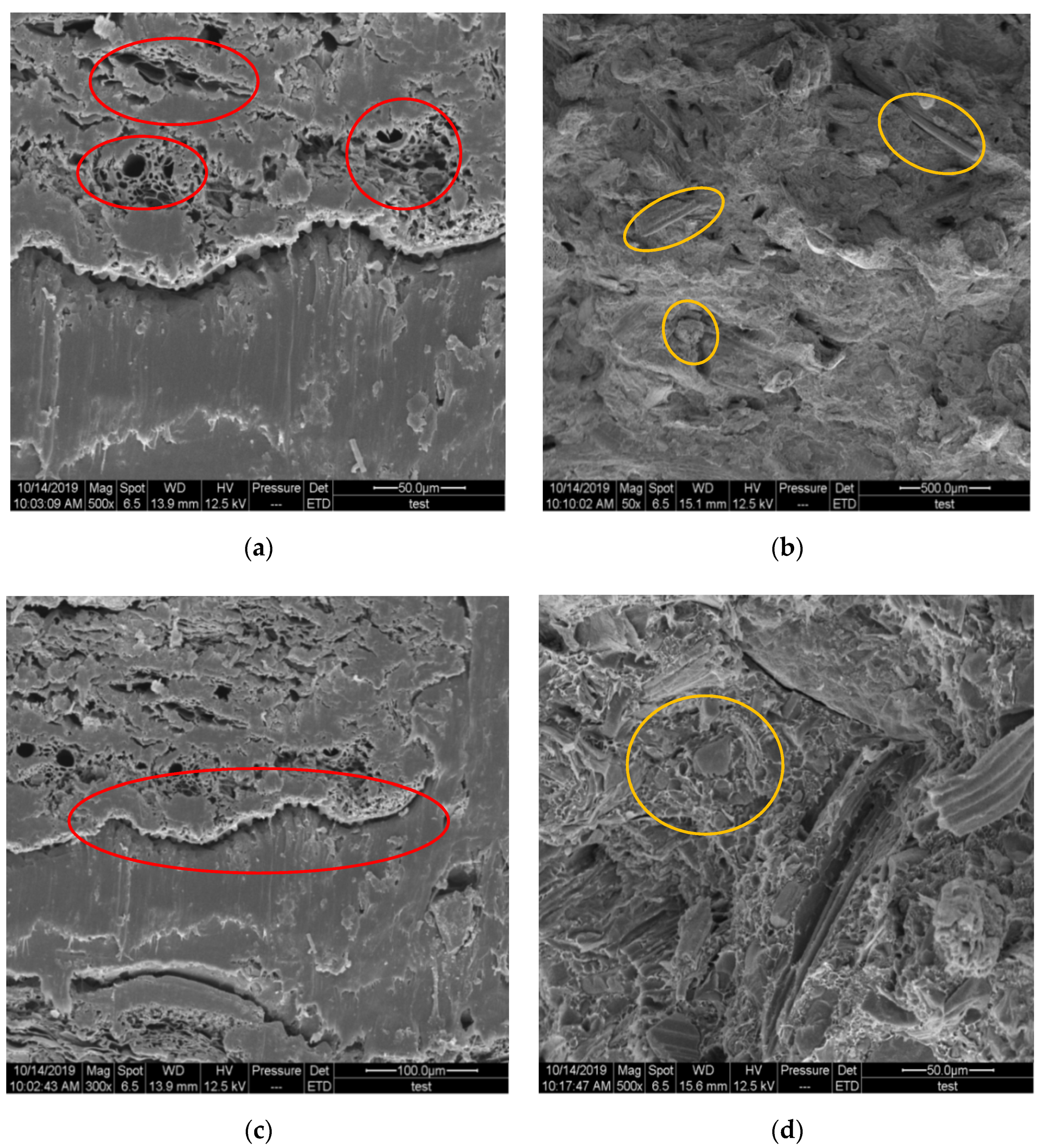 Polymers 12 00860 g006