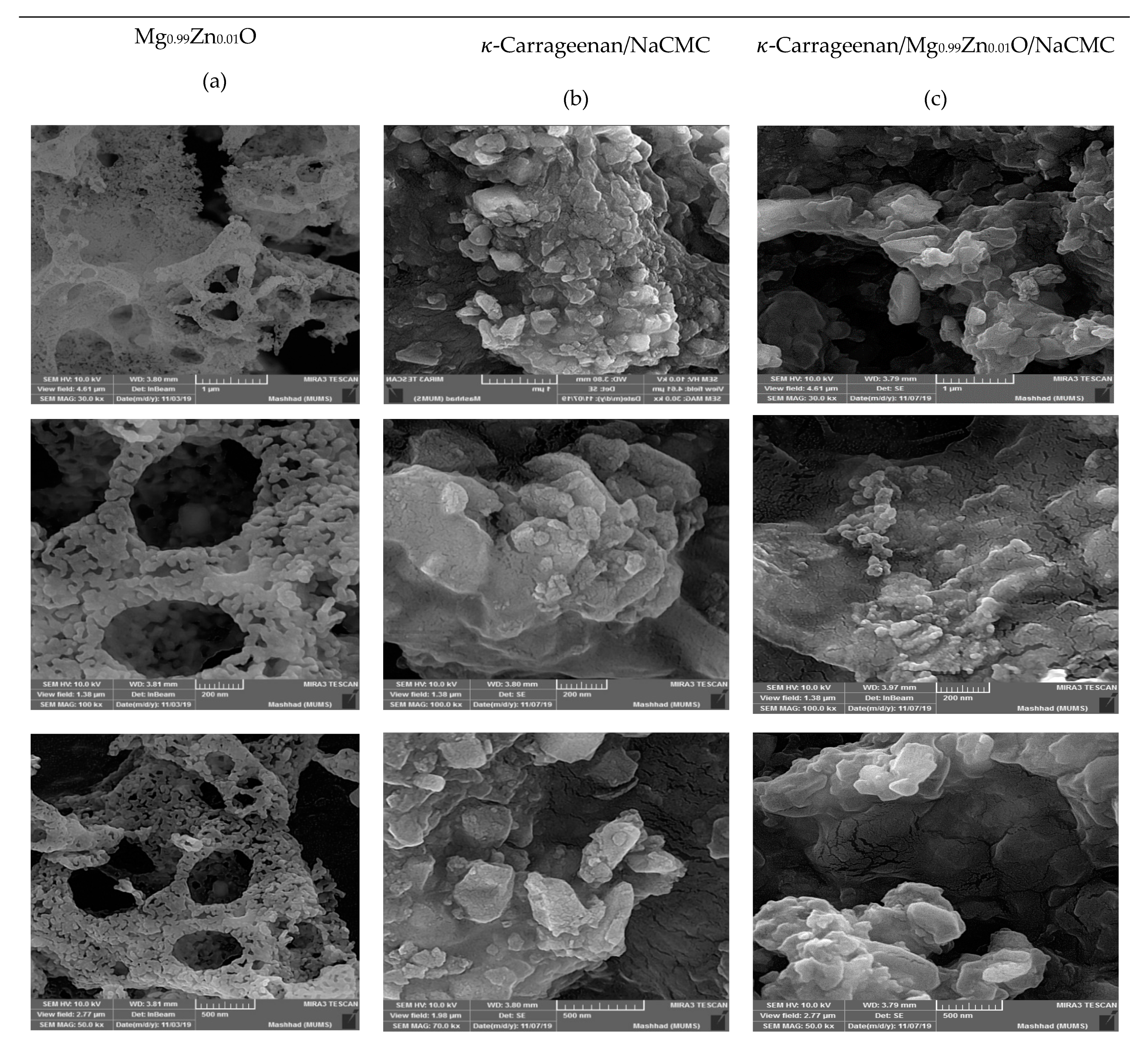 Polymers 12 00861 g006 Polymers 12 00861 g006