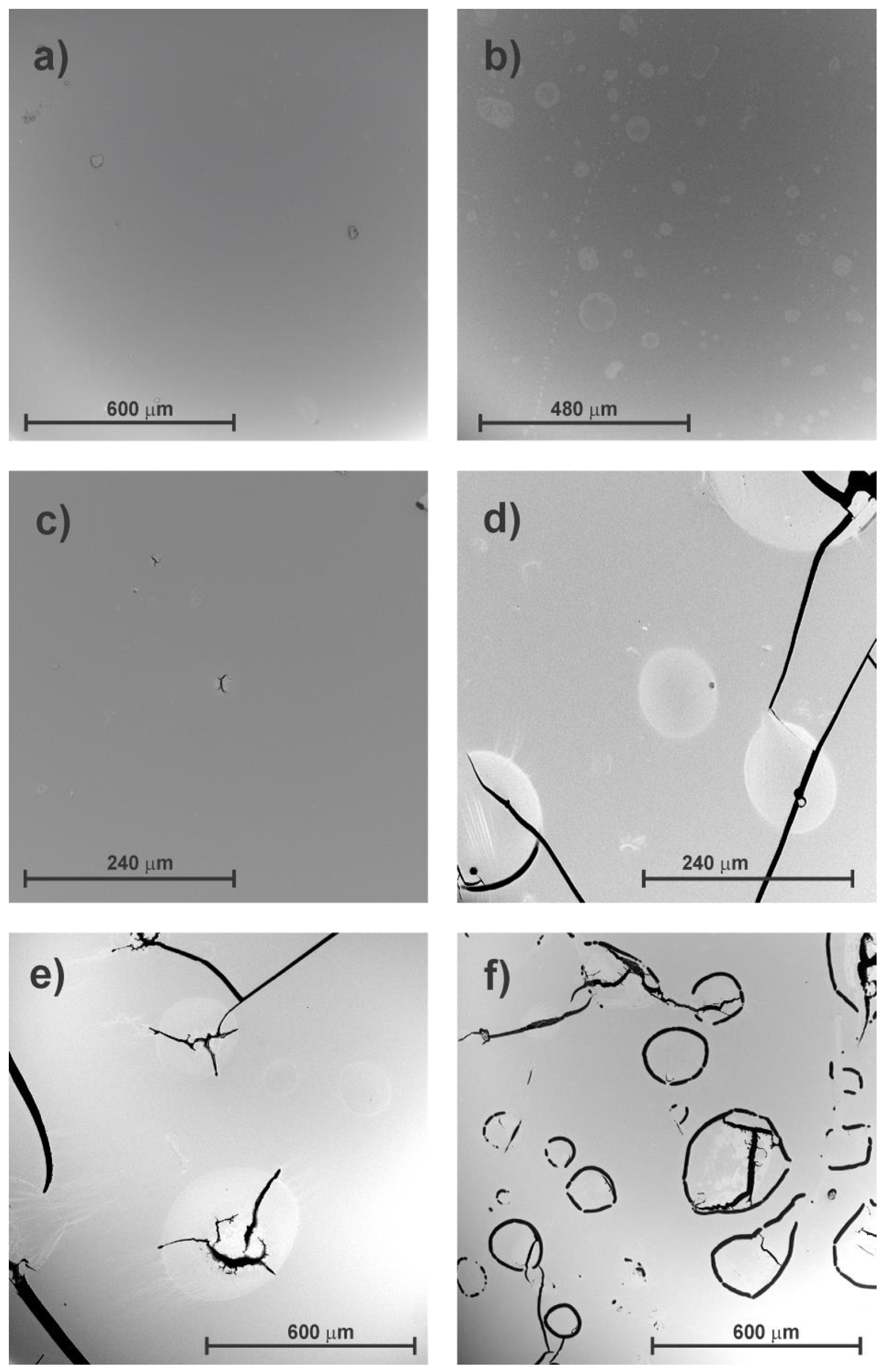 Polymers 12 00862 g003