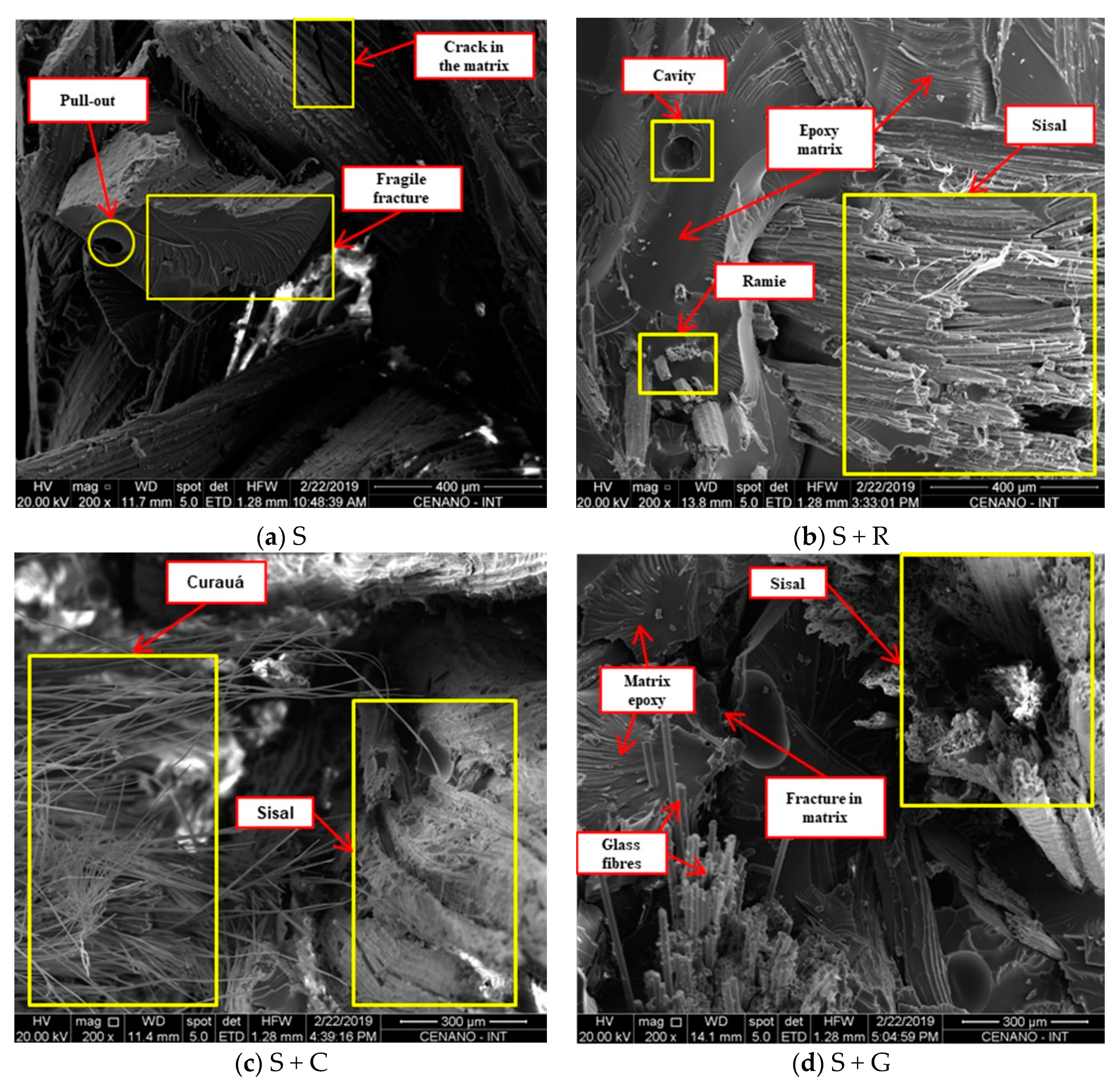 Polymers 12 00866 g004