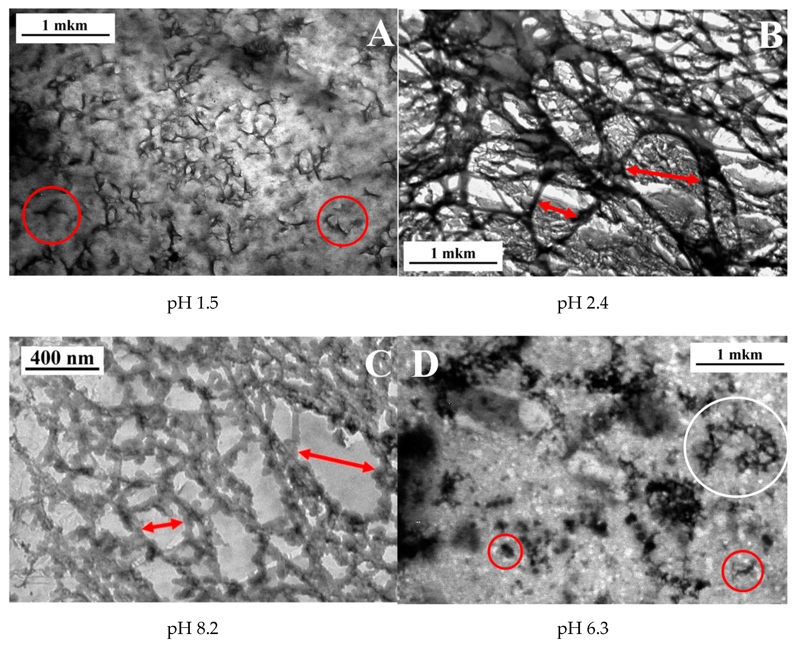 Polymers 12 00868 g005