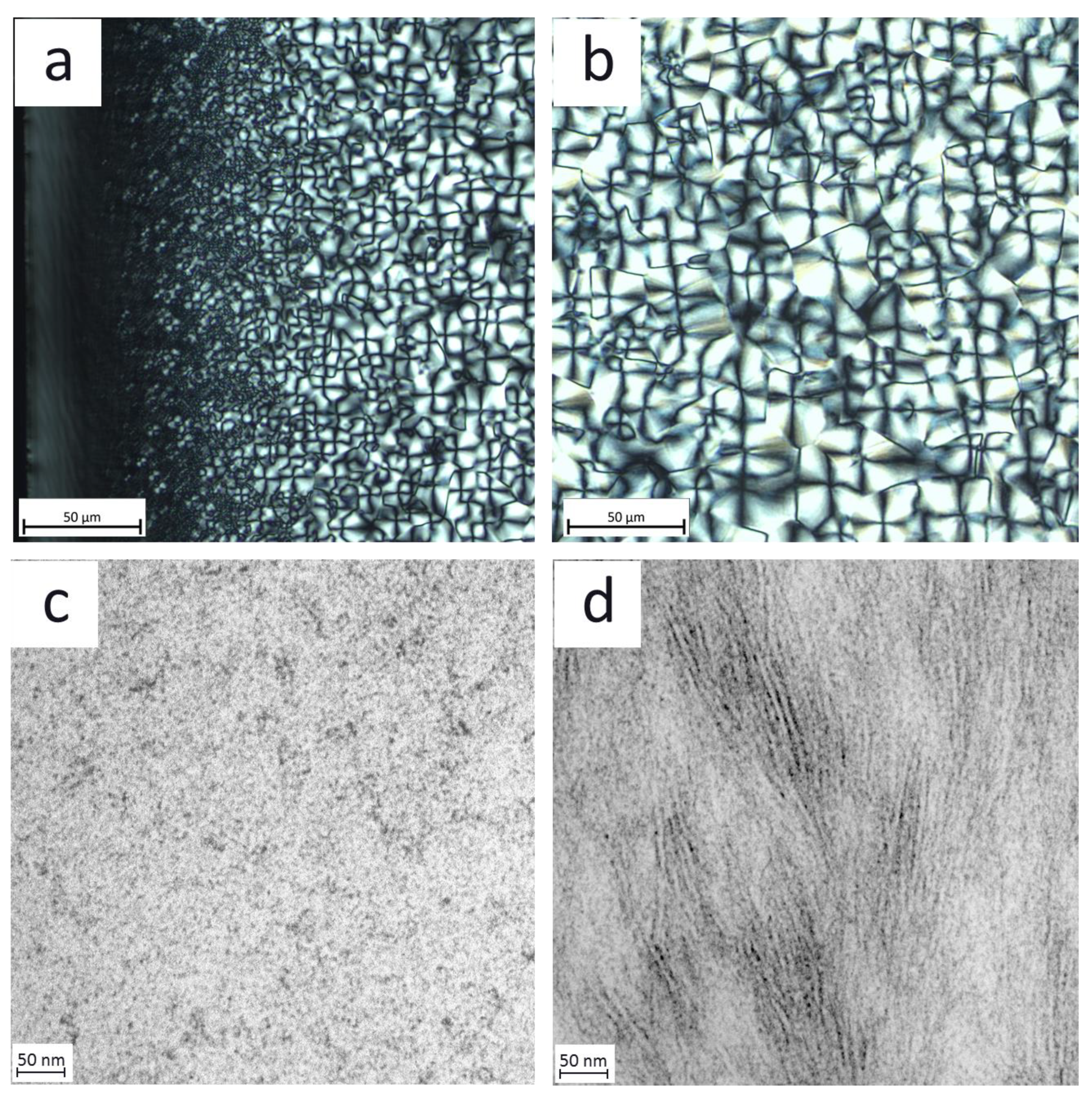 Polymers 12 00894 g003 Polymers 12 00894 g003