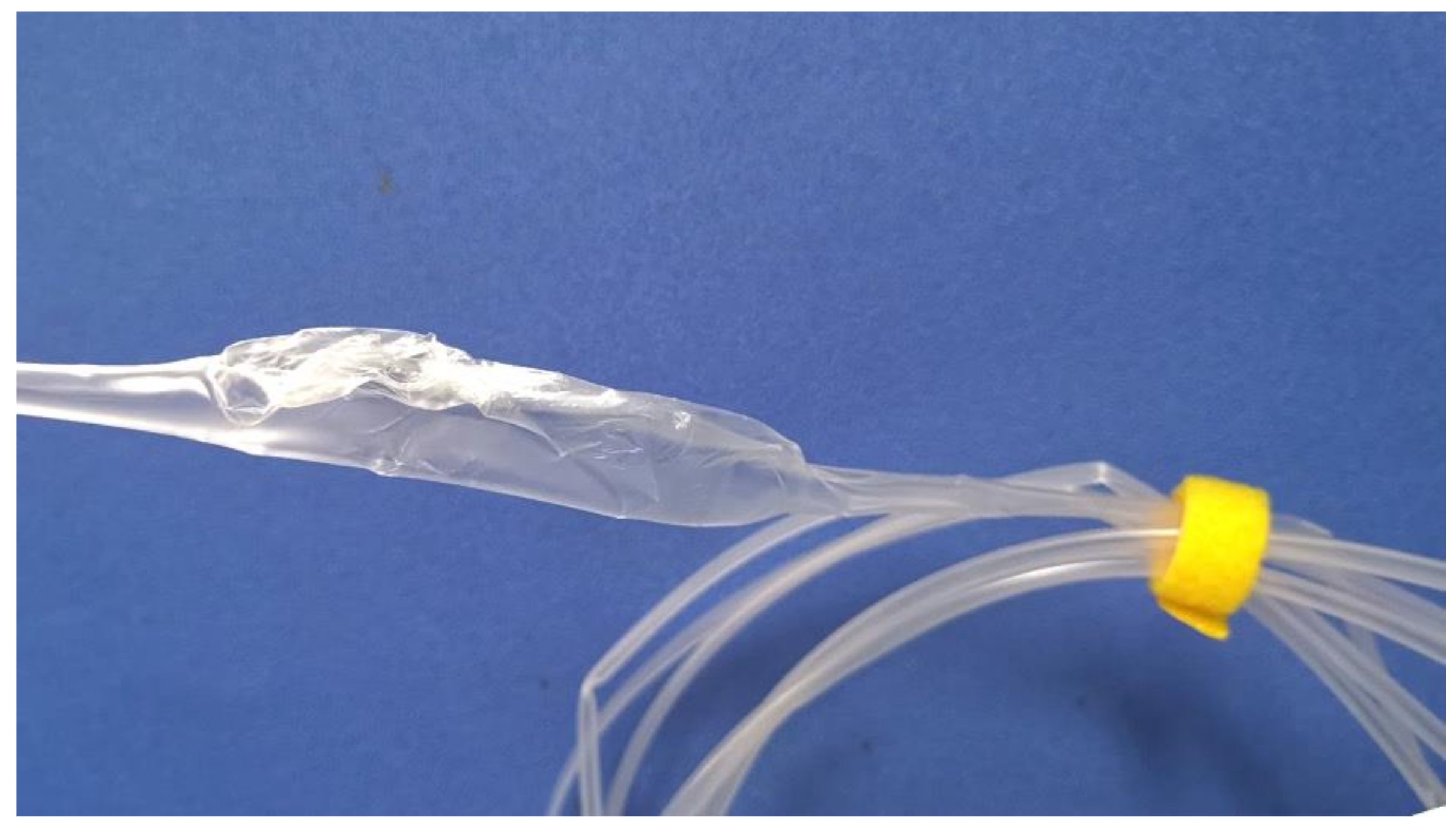 Polymers 12 00899 g002