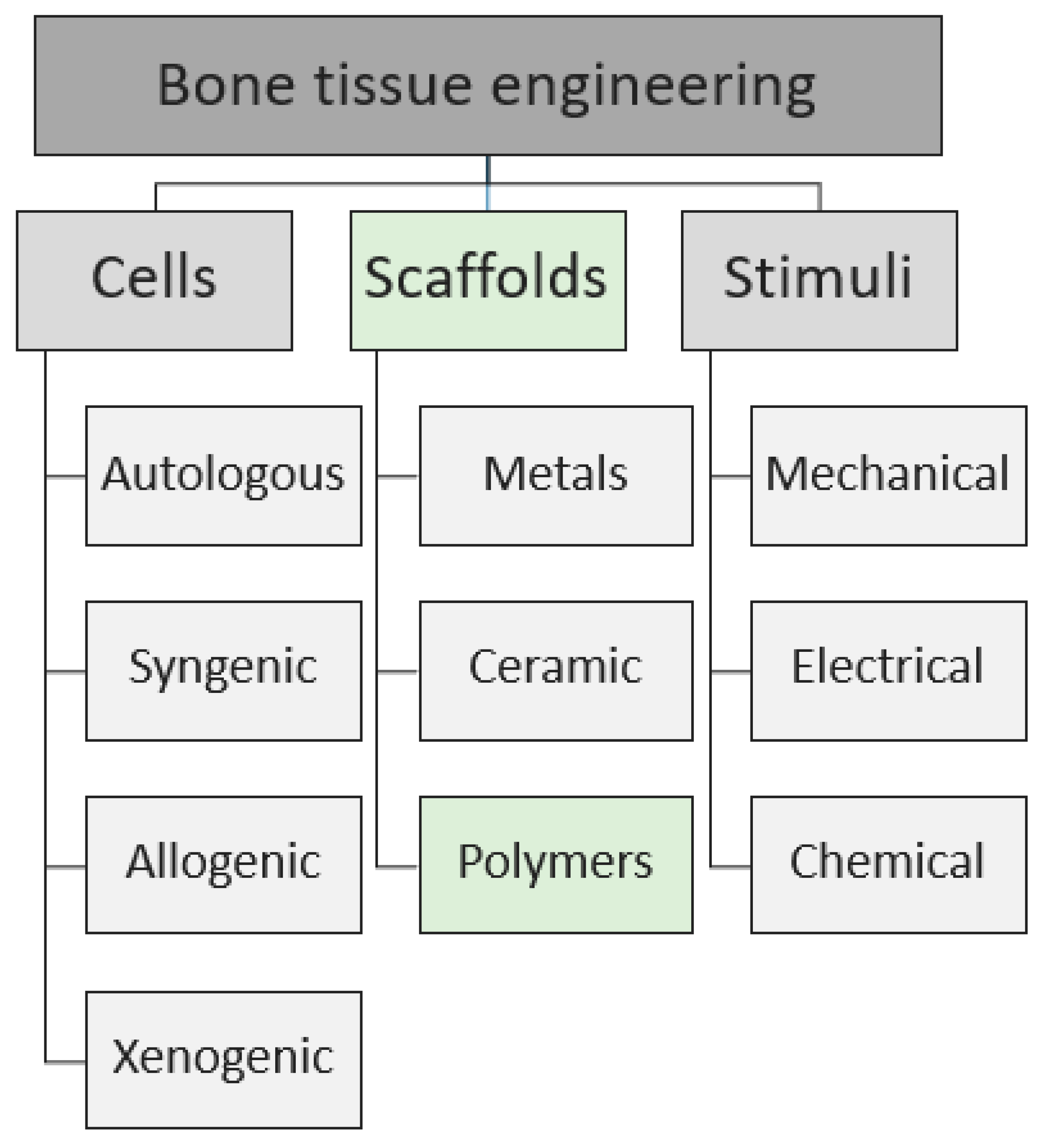Polymers 12 00905 g001