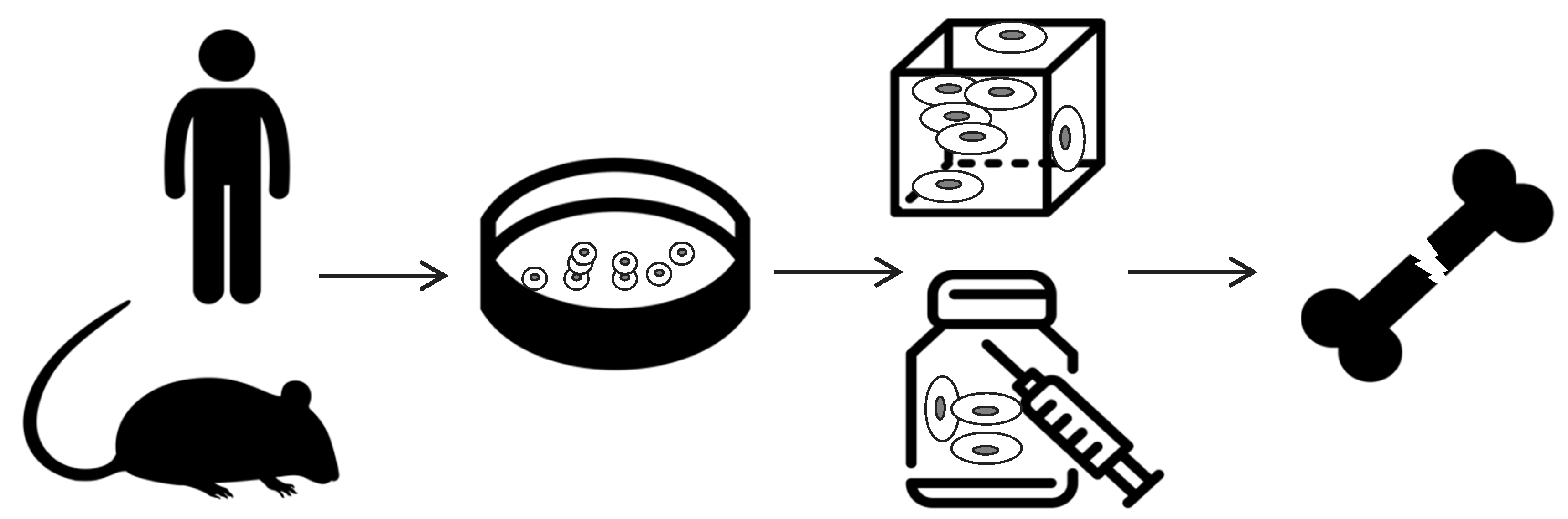 Polymers 12 00905 g002