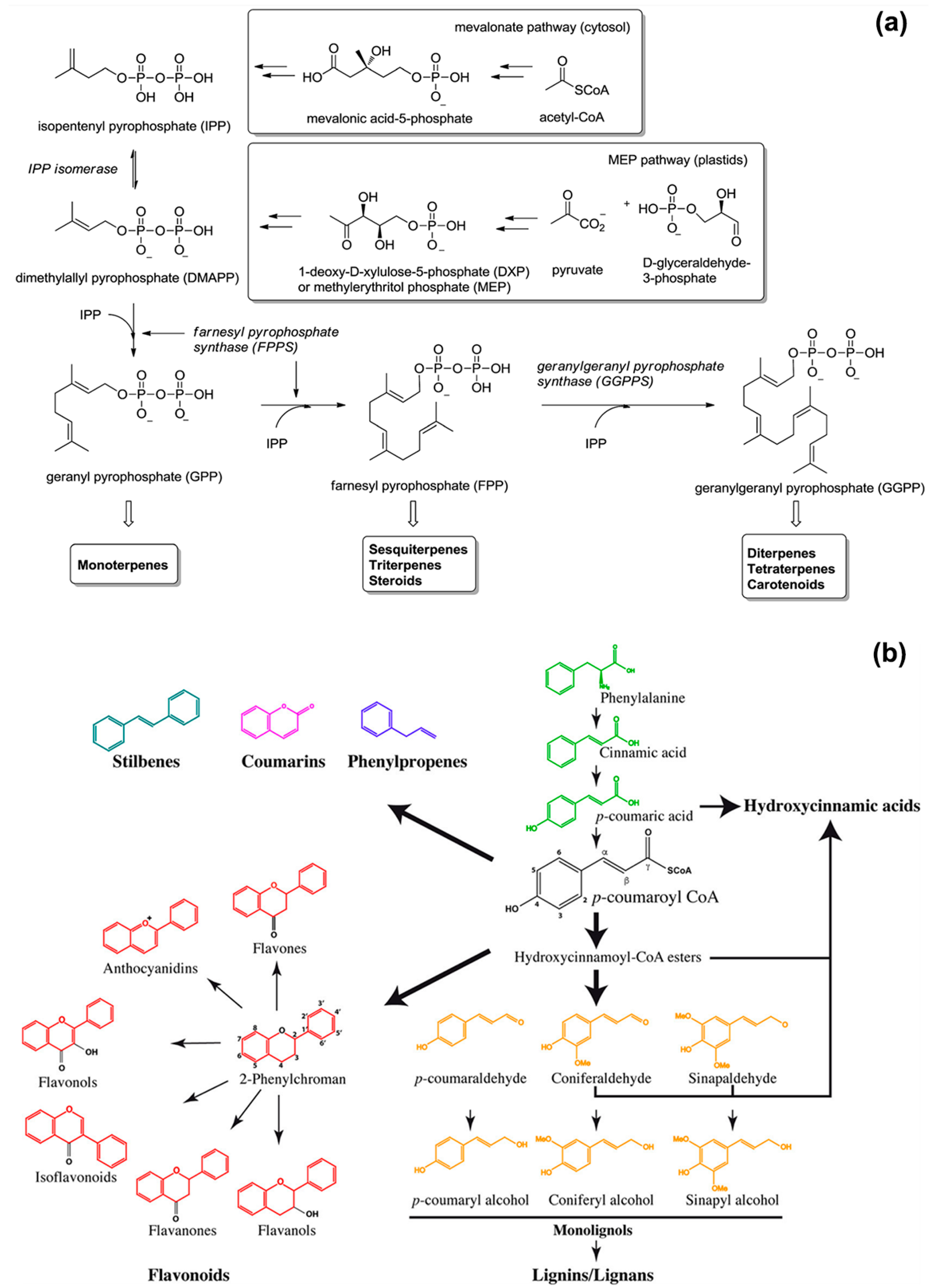 Polymers 12 00908 g001 Polymers 12 00908 g001