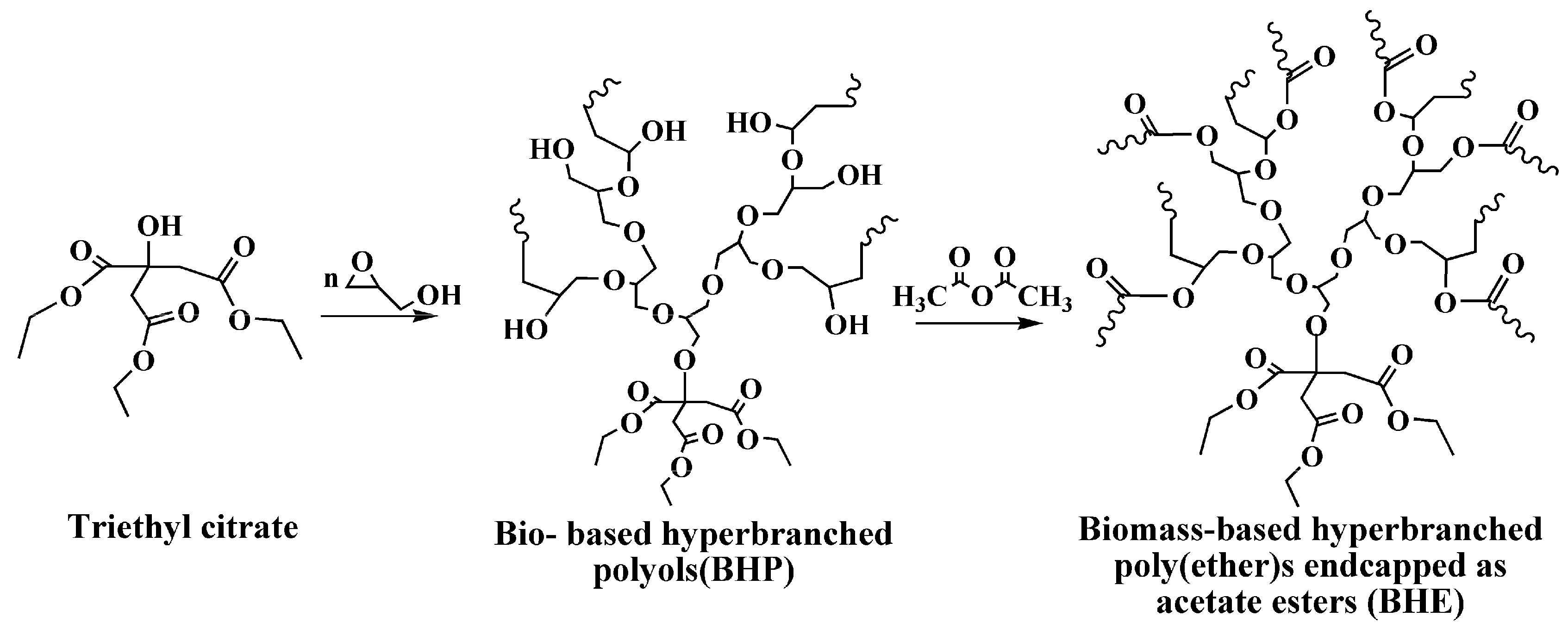 Polymers 12 00913 g001