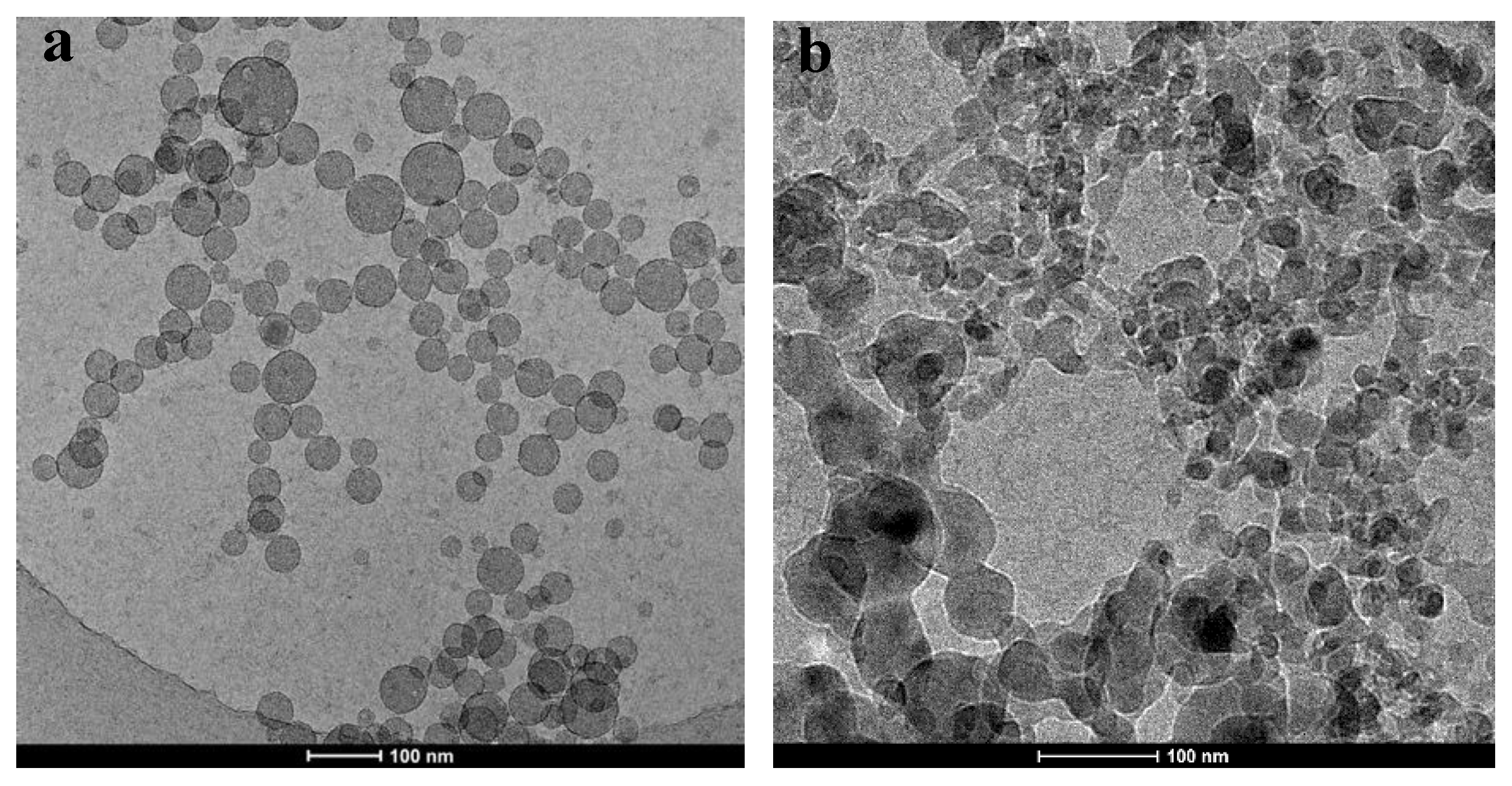 Polymers 12 00916 g003