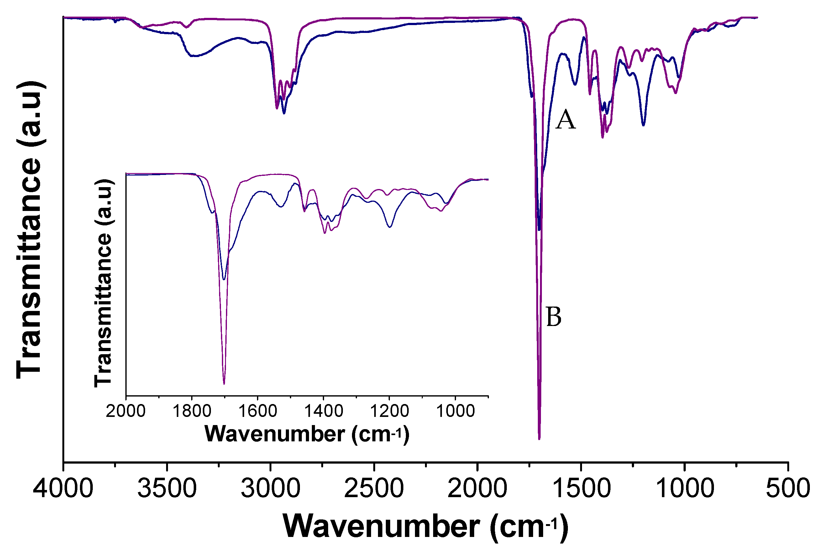 Polymers 12 00923 g003