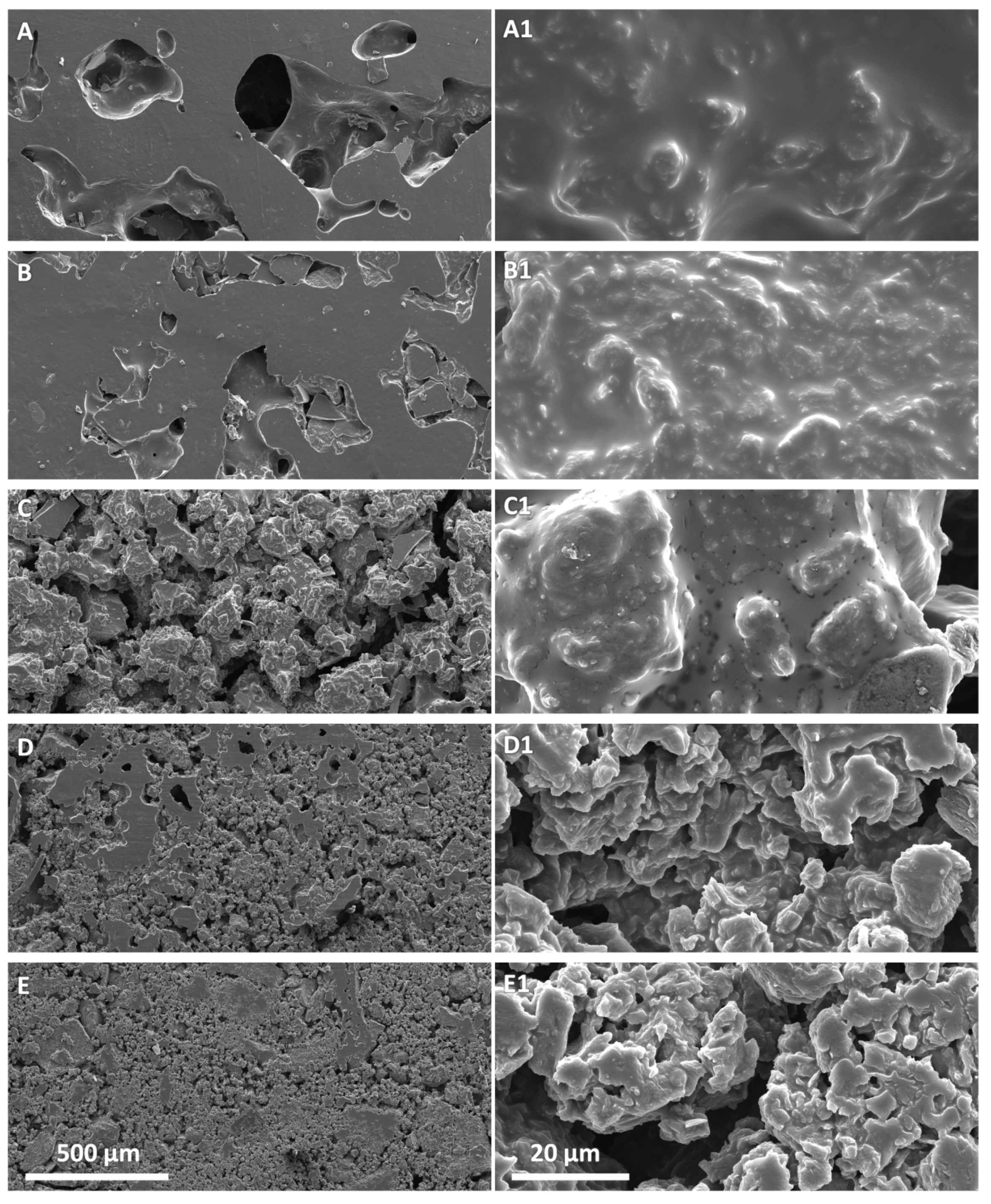 Polymers 12 00923 g005