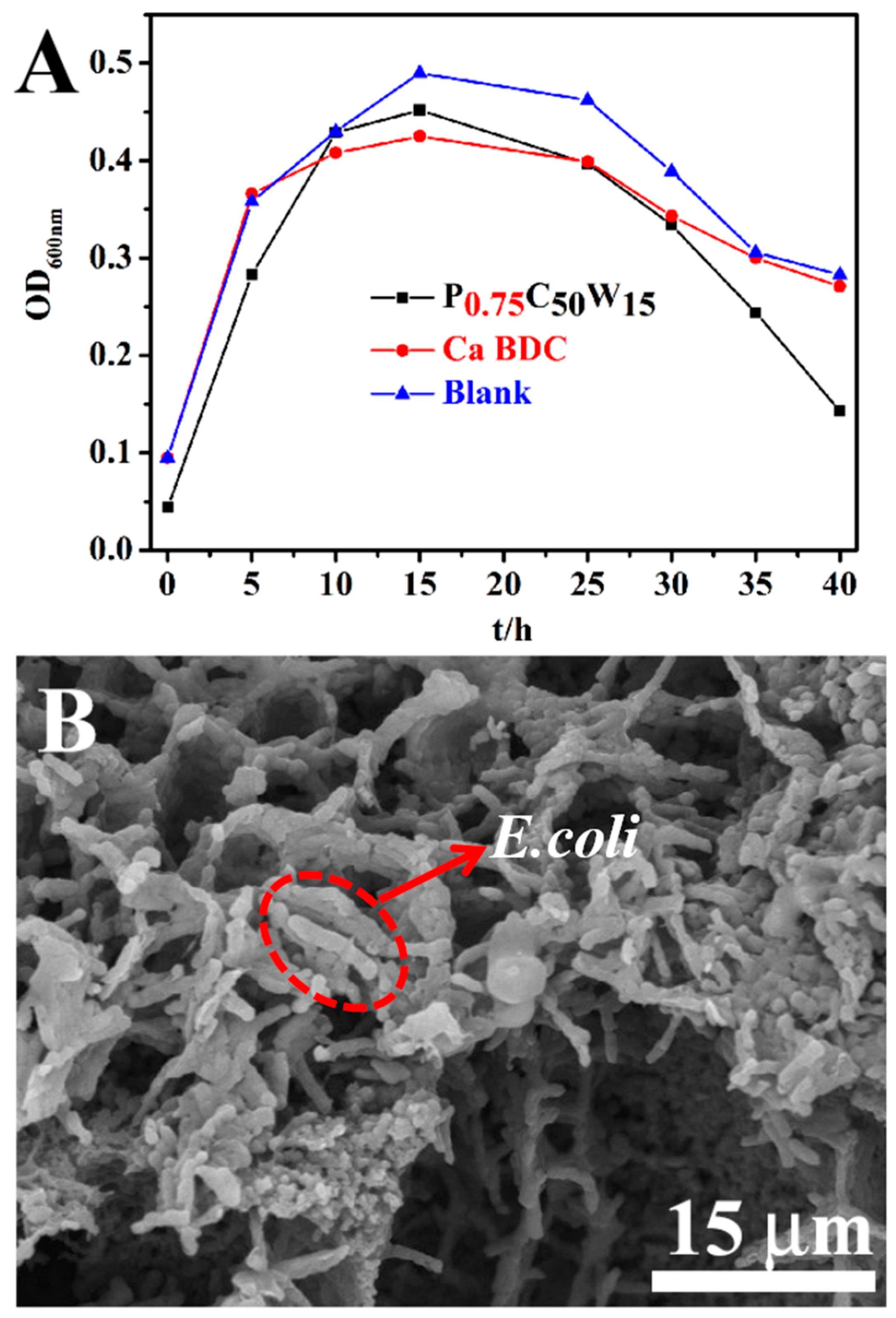Polymers 12 00931 g012