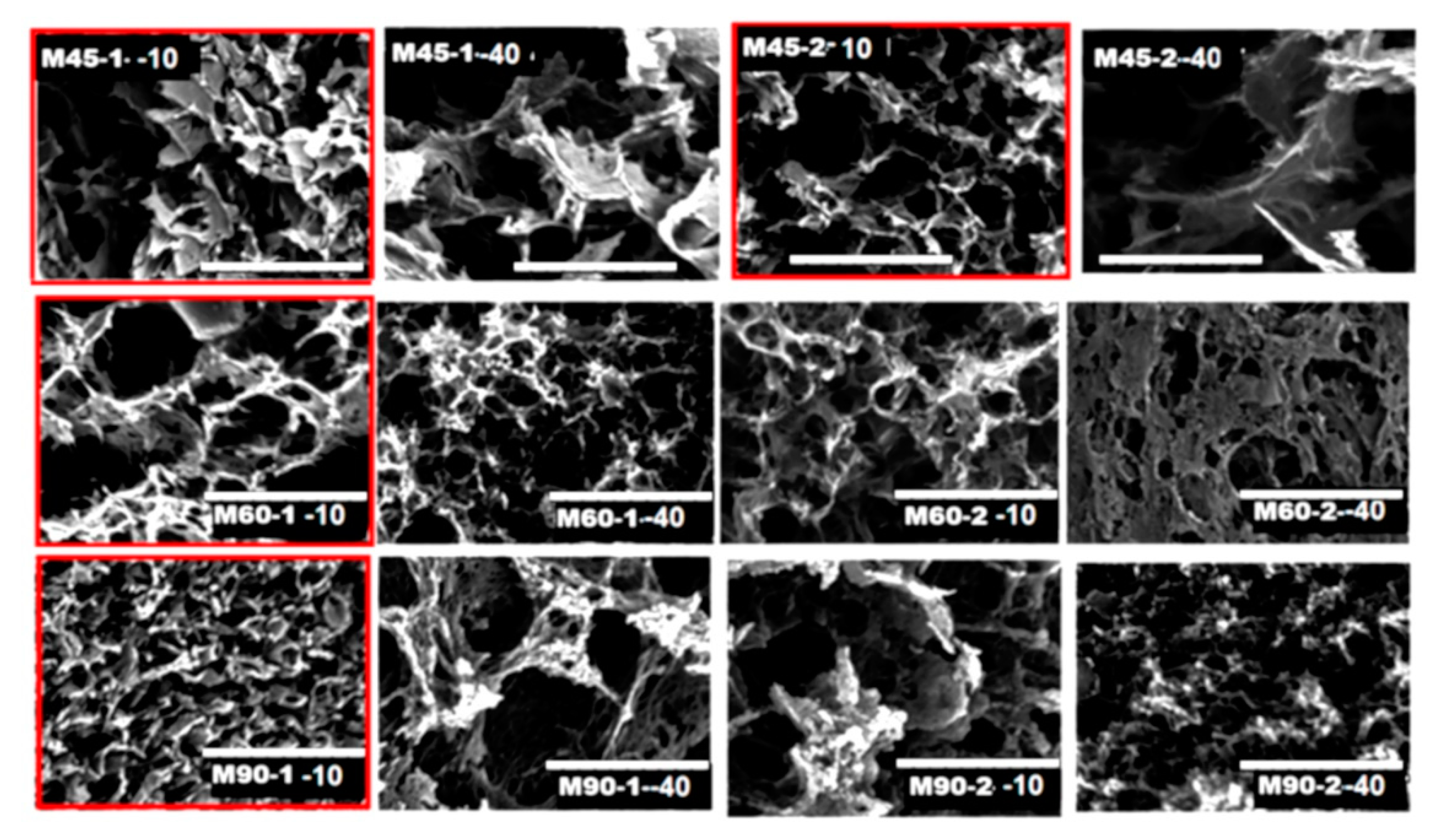 Polymers 12 00936 g002