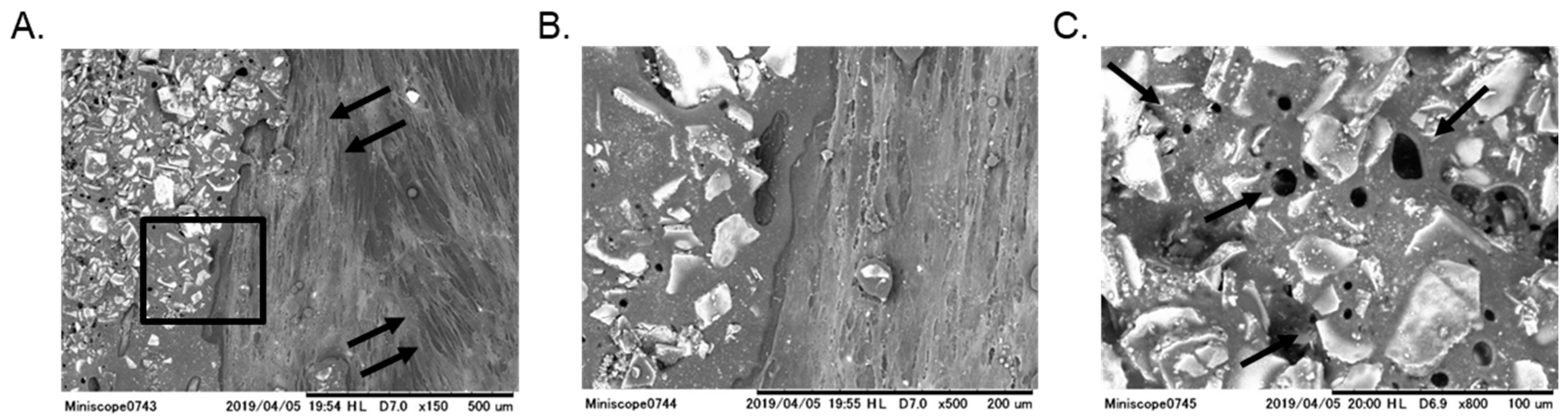 Polymers 12 00937 g002 Polymers 12 00937 g002