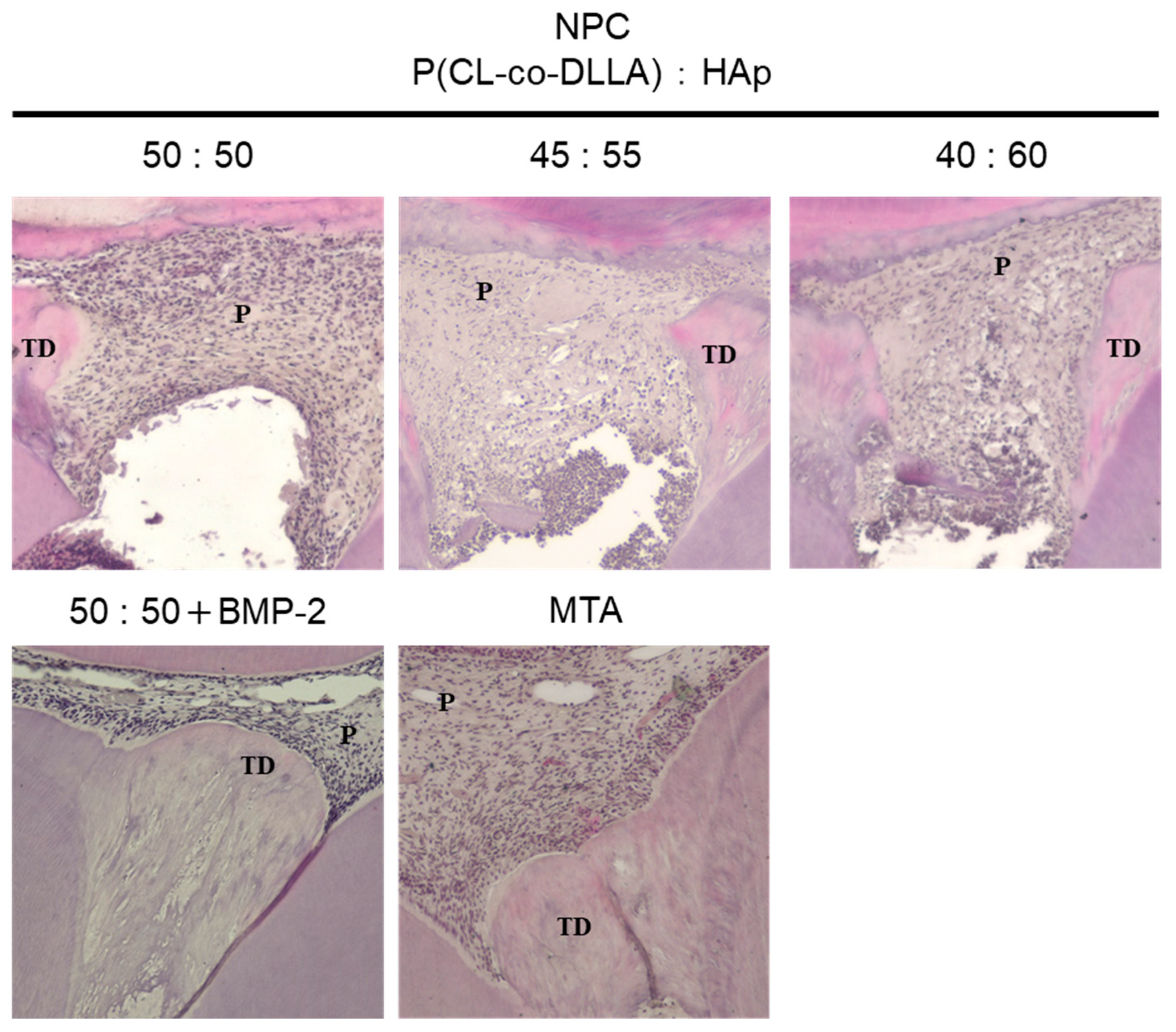 Polymers 12 00937 g005 Polymers 12 00937 g005