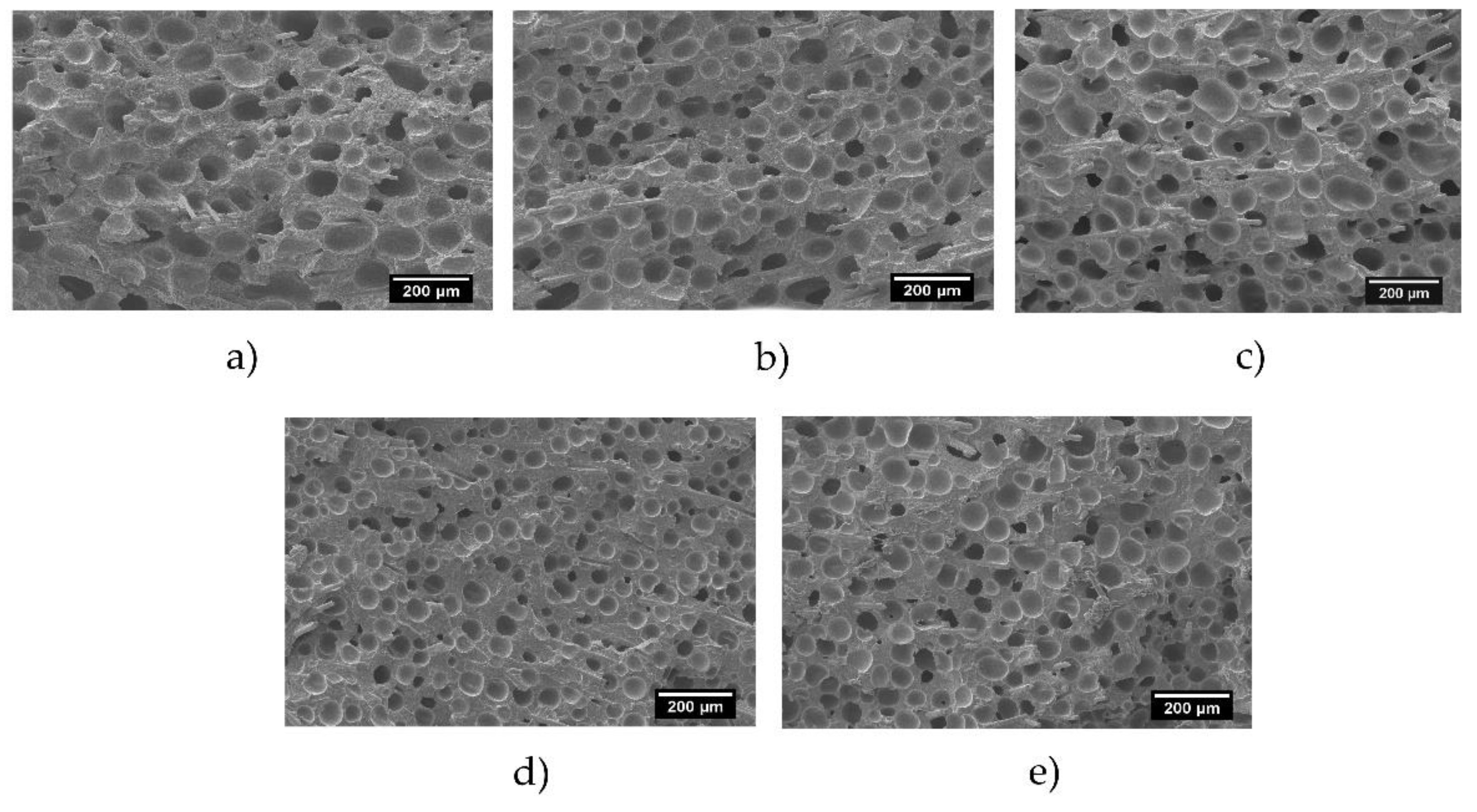 Polymers 12 00943 g002
