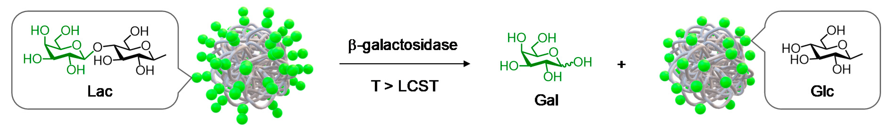 Polymers 12 00956 g005