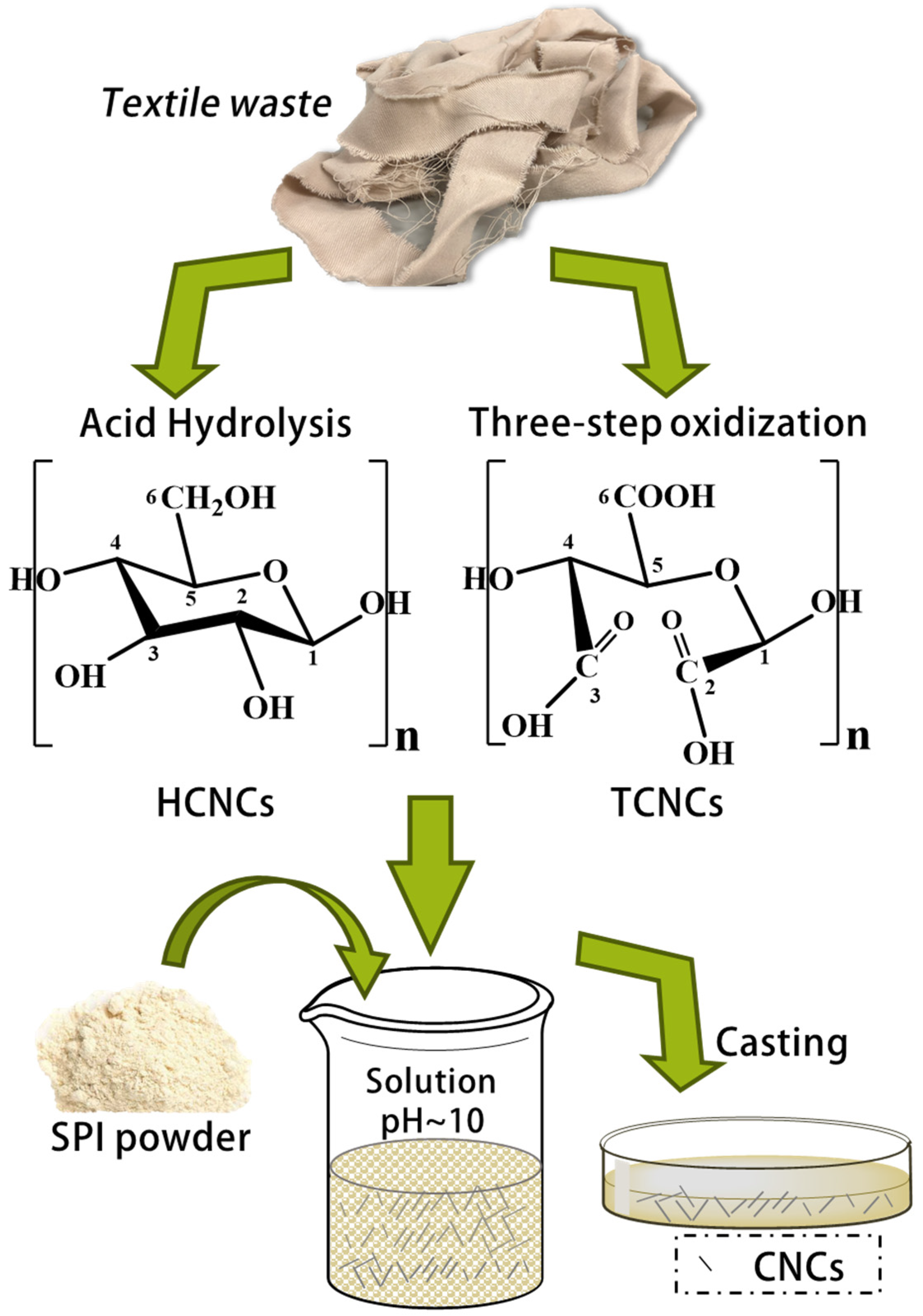 Polymers 12 00958 g001