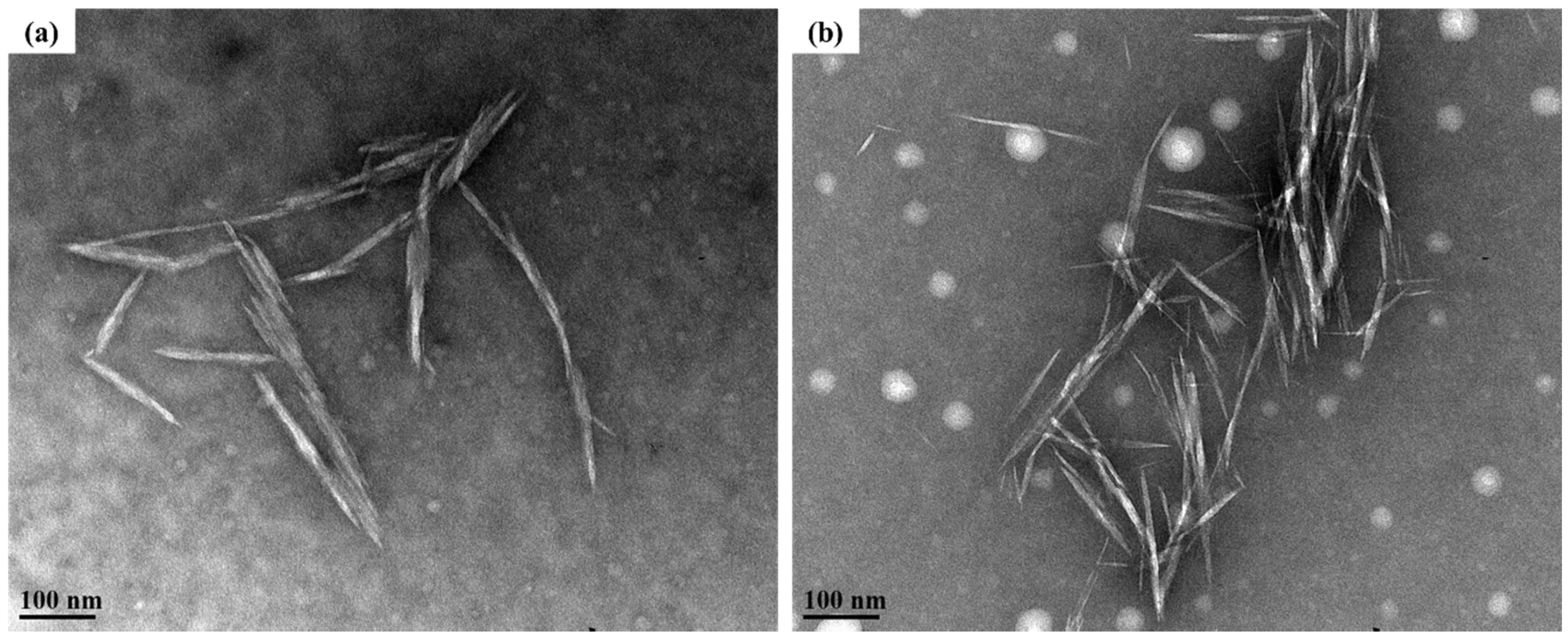 Polymers 12 00958 g002