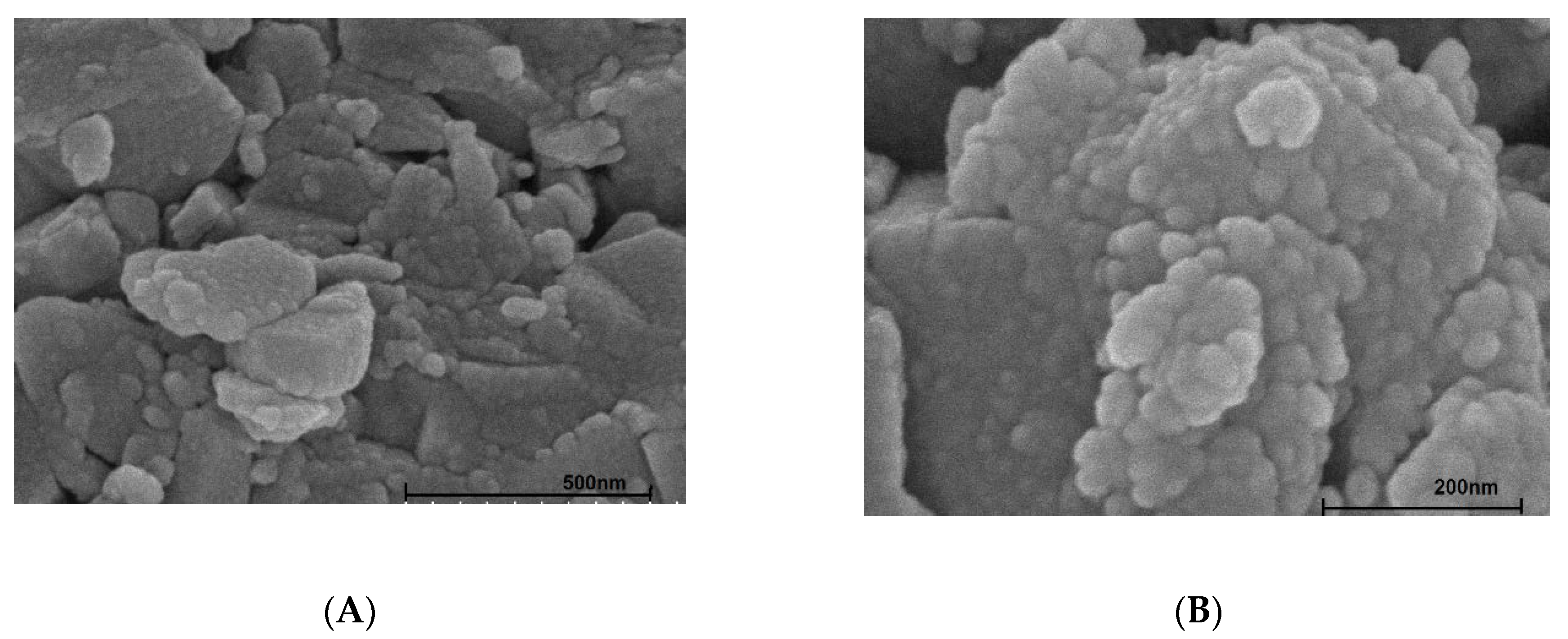 Polymers 12 00960 g004