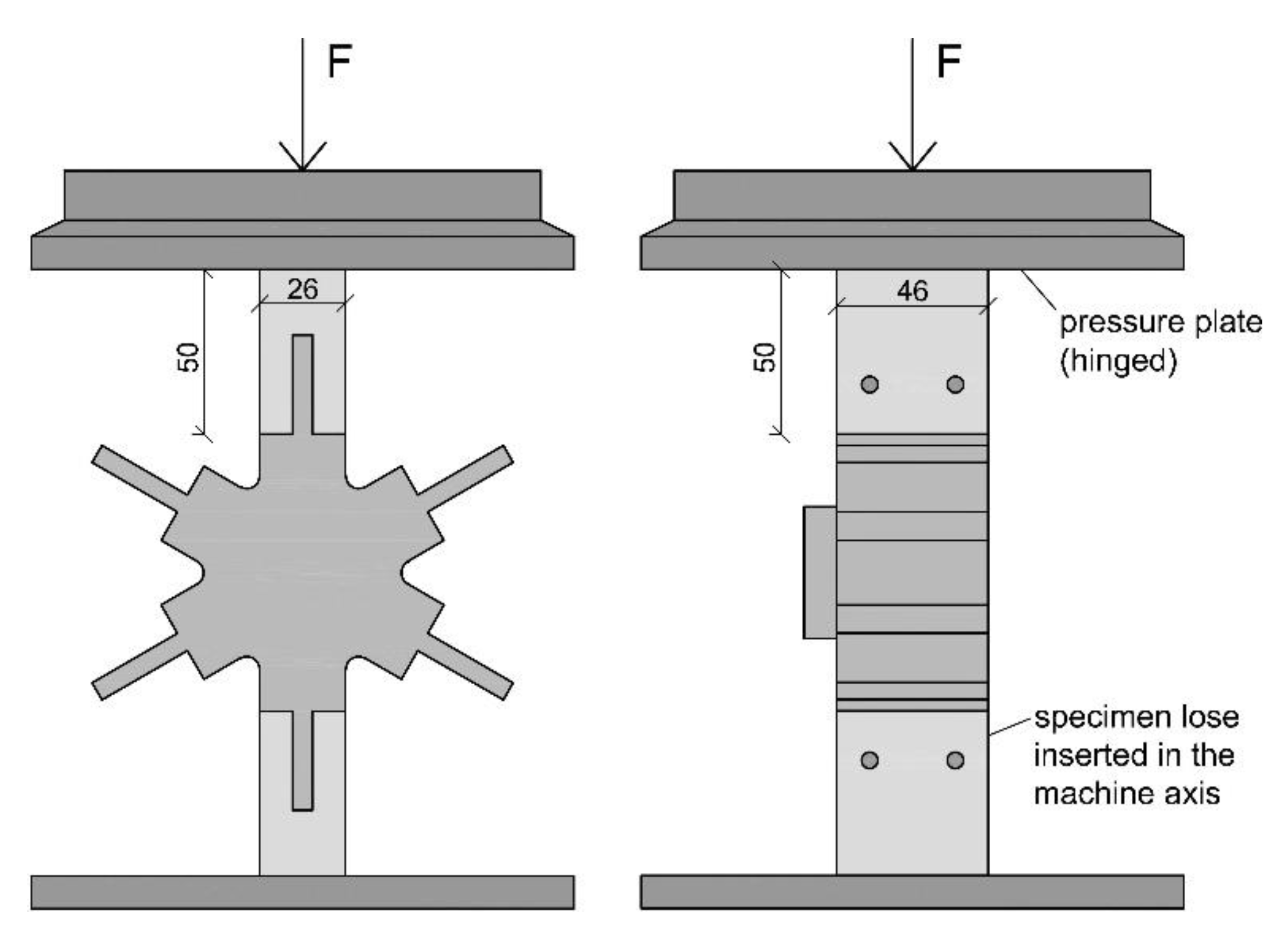 Polymers 12 00965 g005