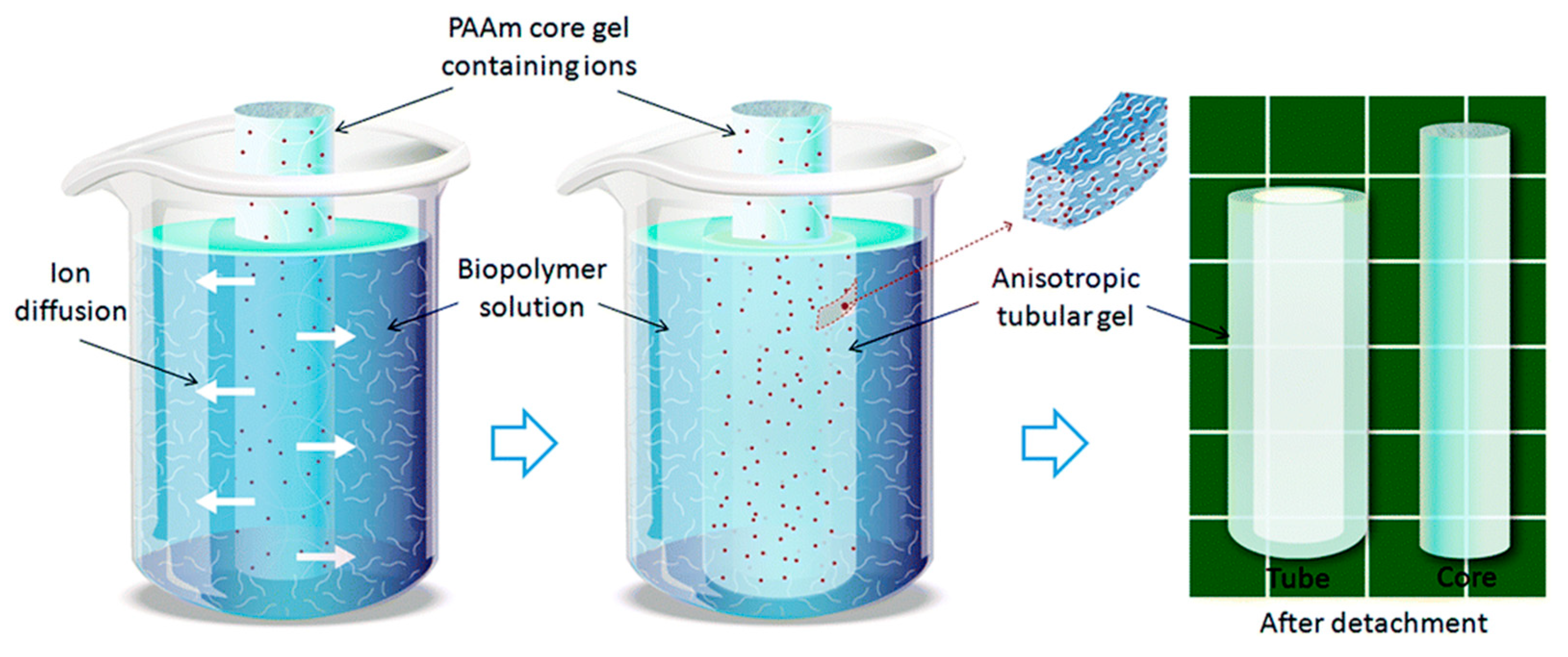 Polymers 12 00966 g005