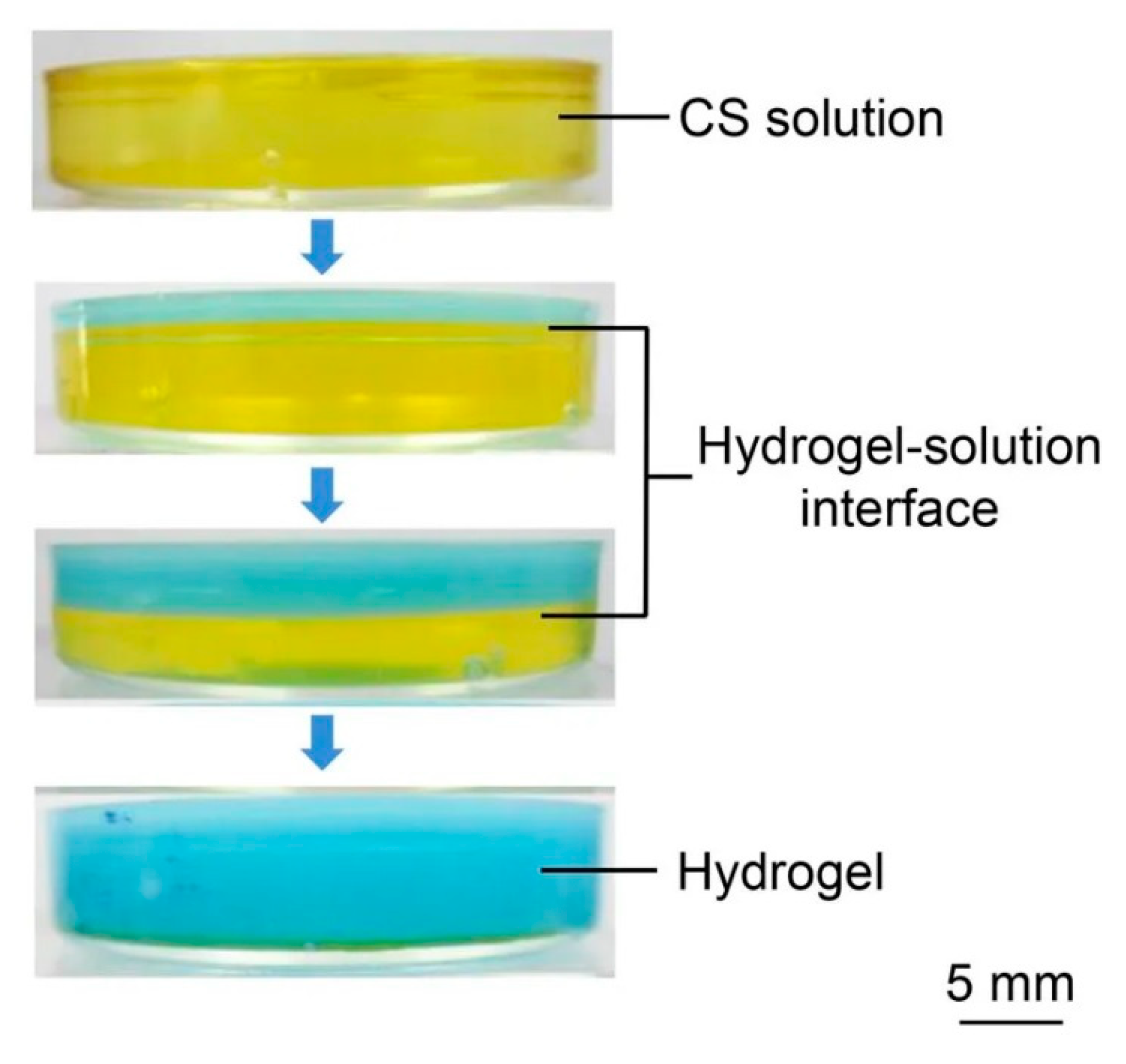 Polymers 12 00966 g006