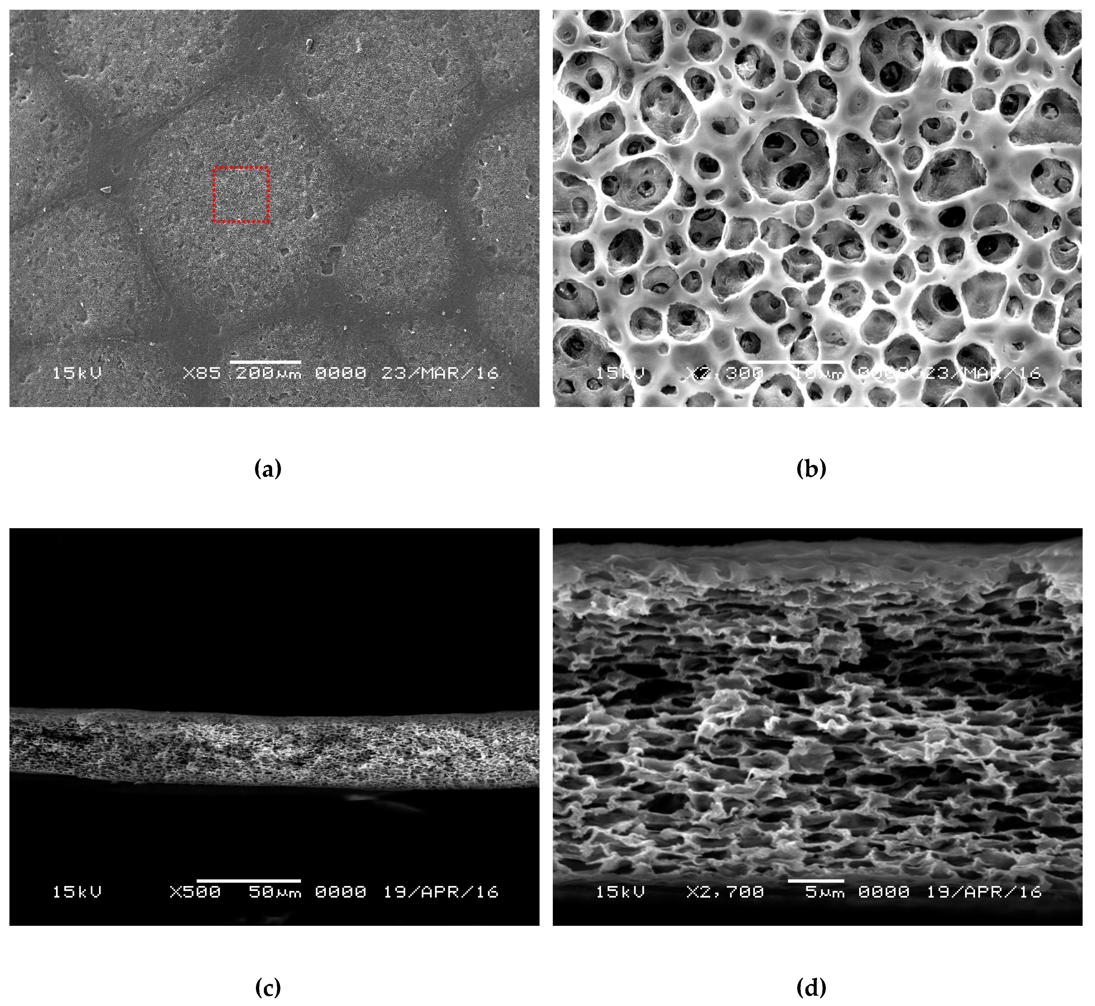 Polymers 12 00981 g001 Polymers 12 00981 g001