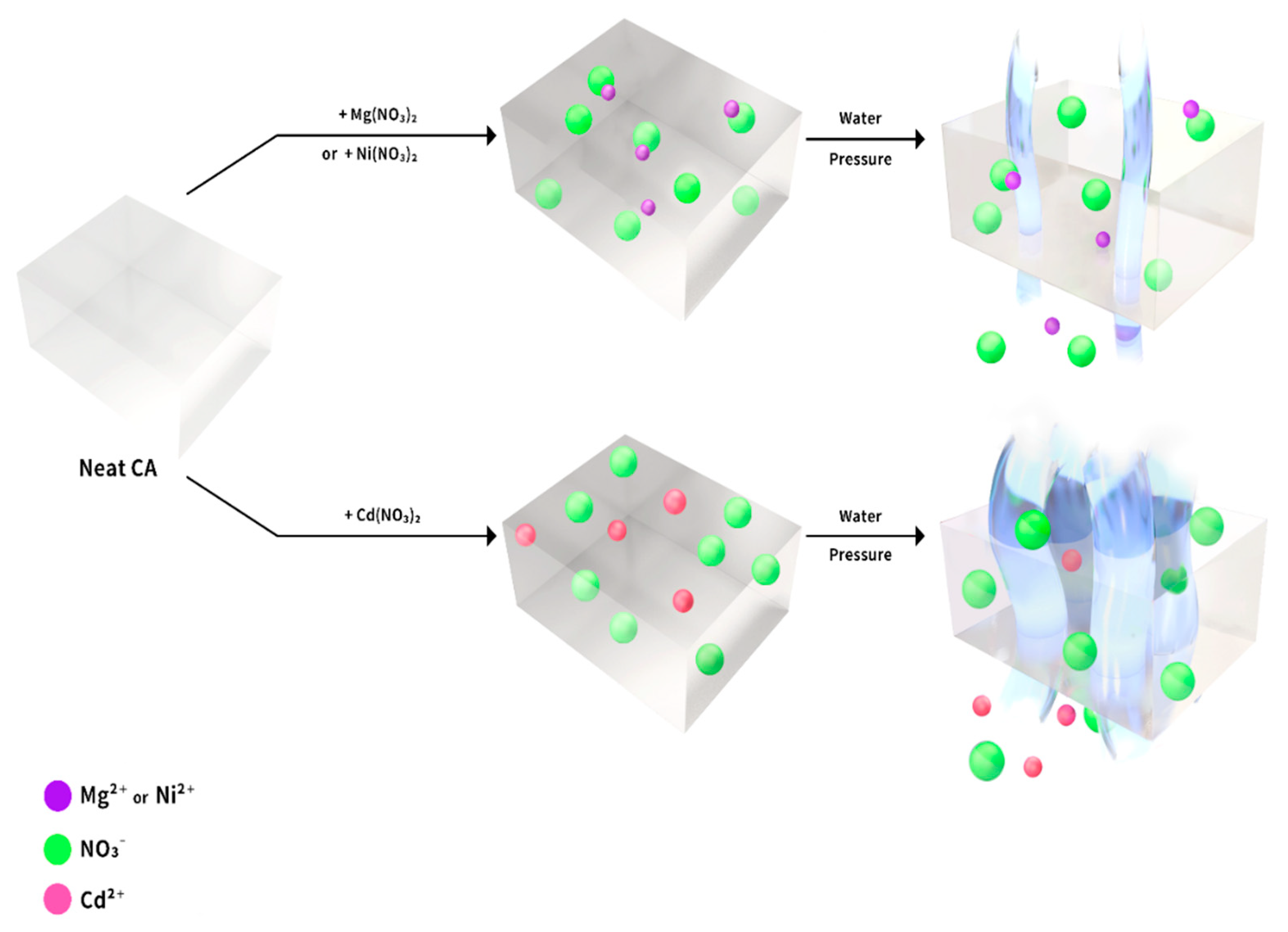 Polymers 12 00981 sch001 Polymers 12 00981 sch001