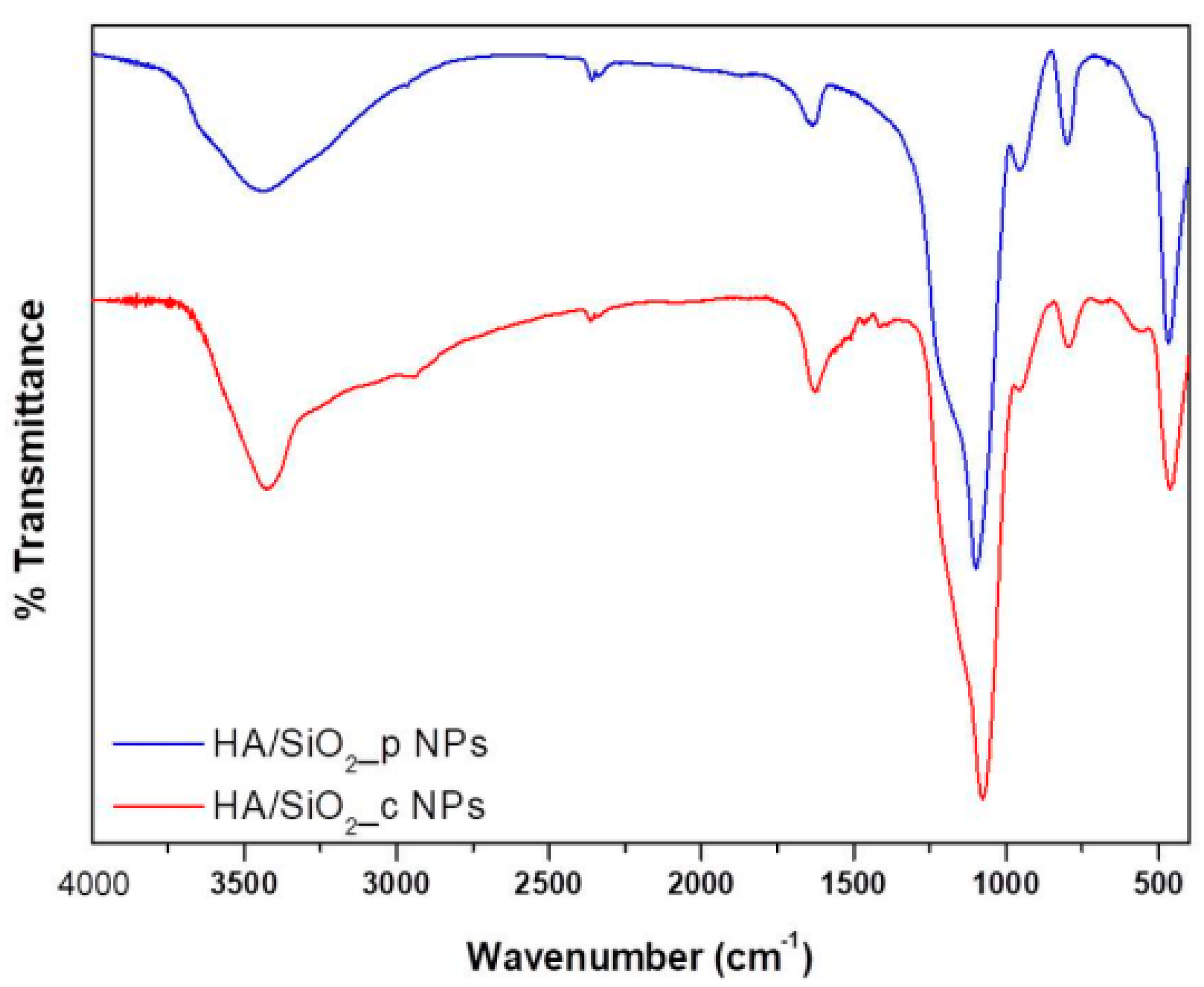 Polymers 12 00982 g004