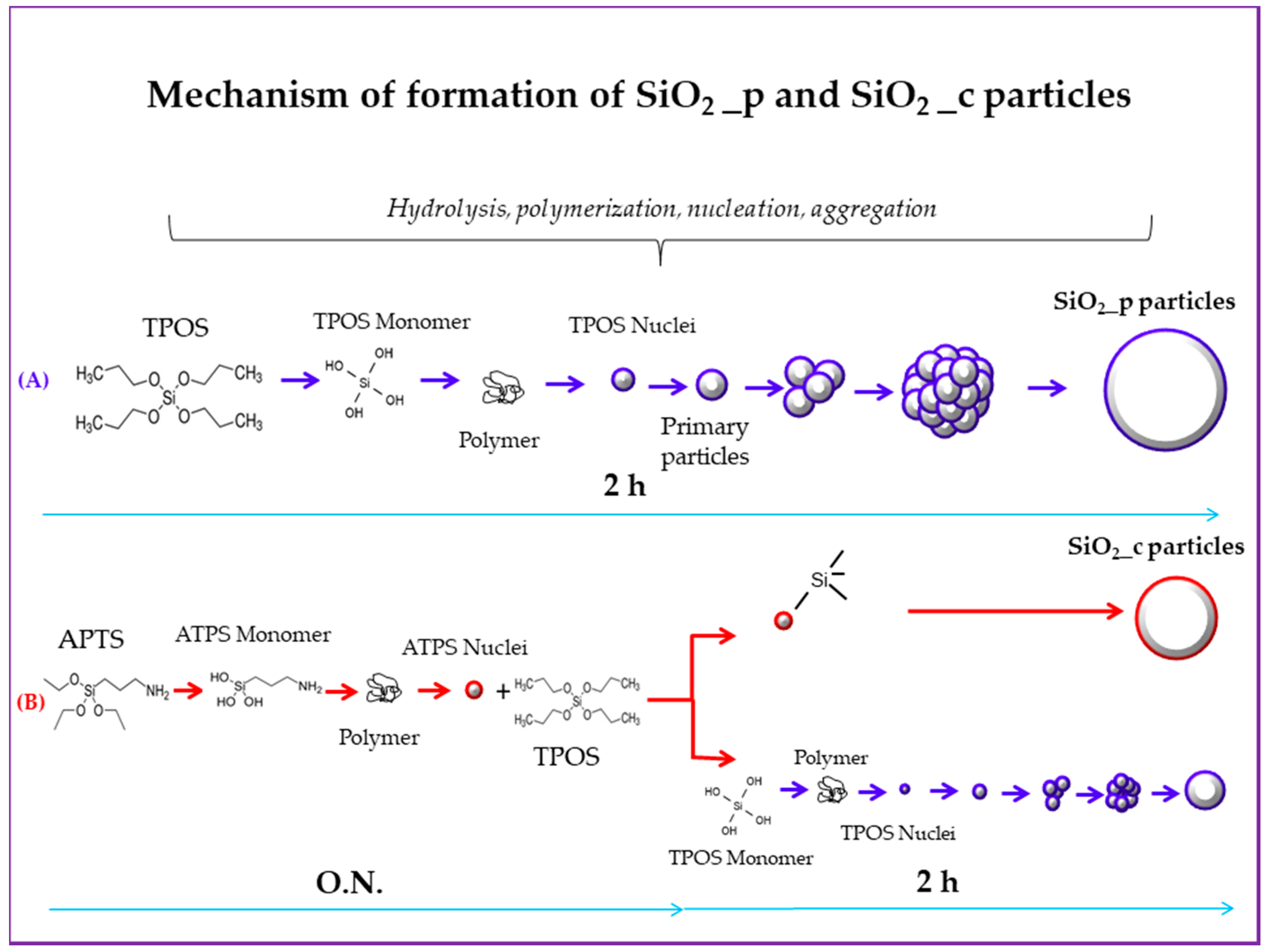 Polymers 12 00982 sch001