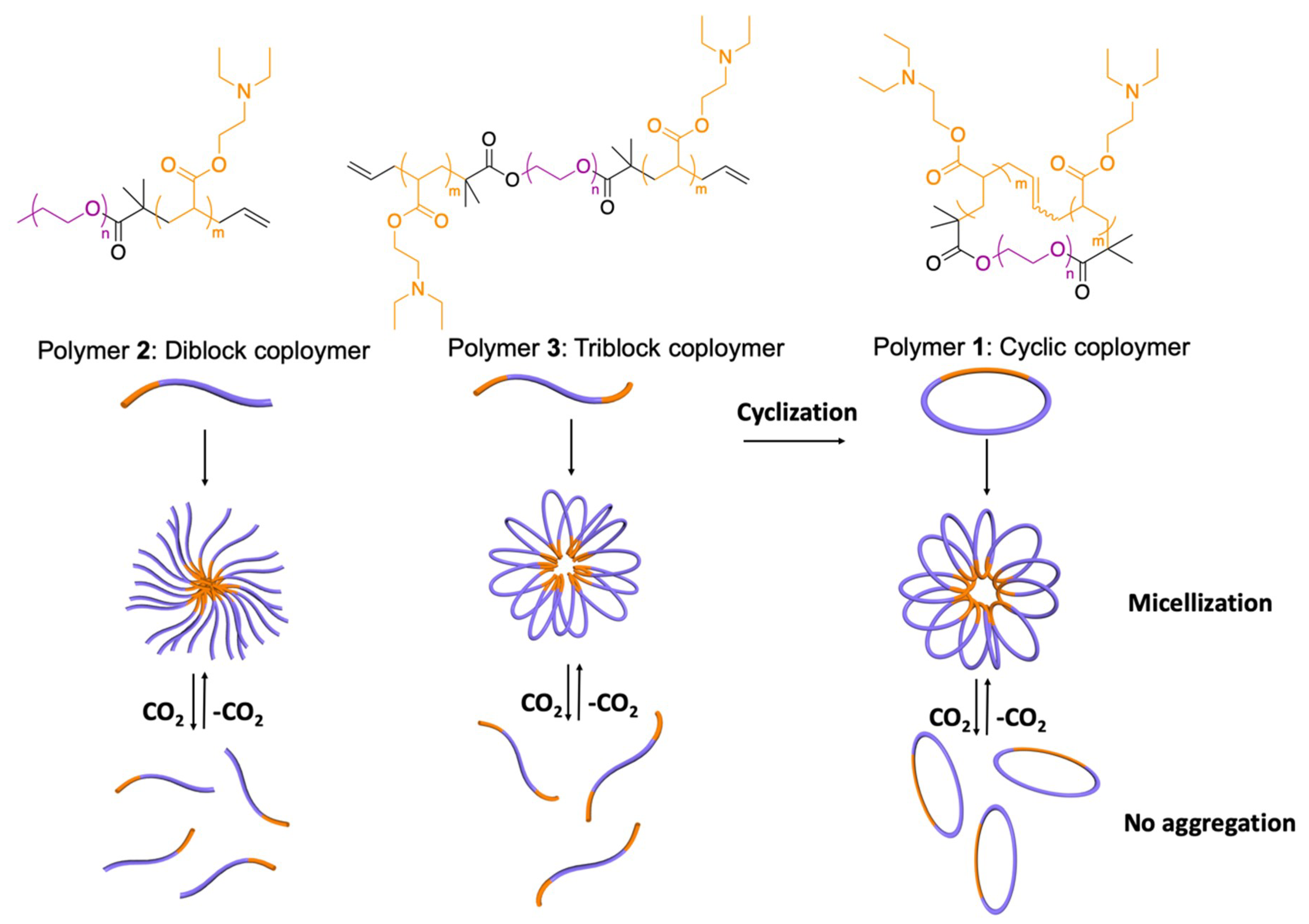 Polymers 12 00984 sch001