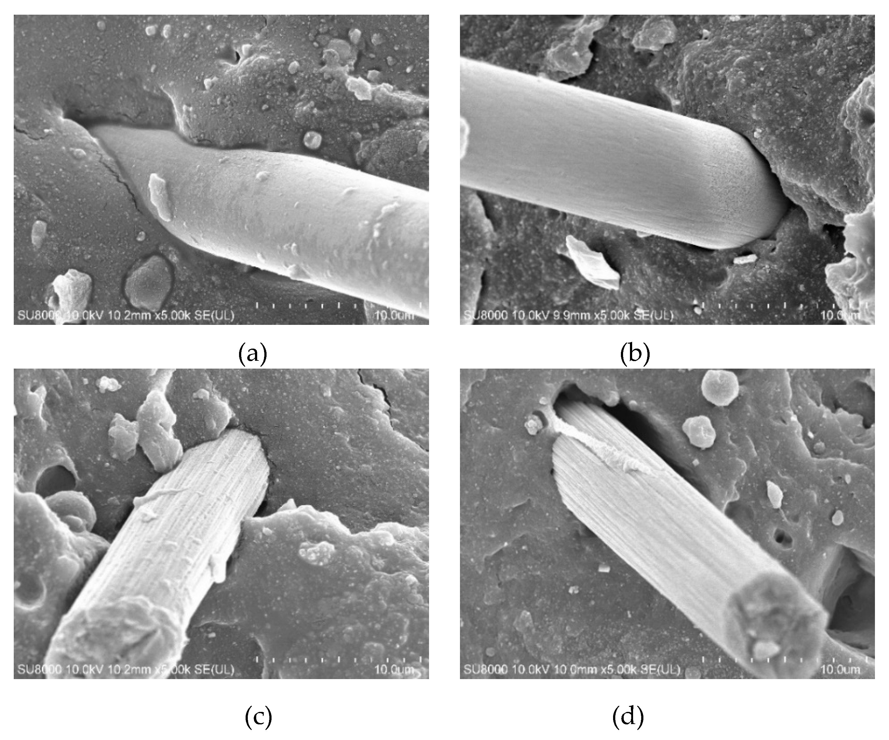 Polymers 12 00988 g004