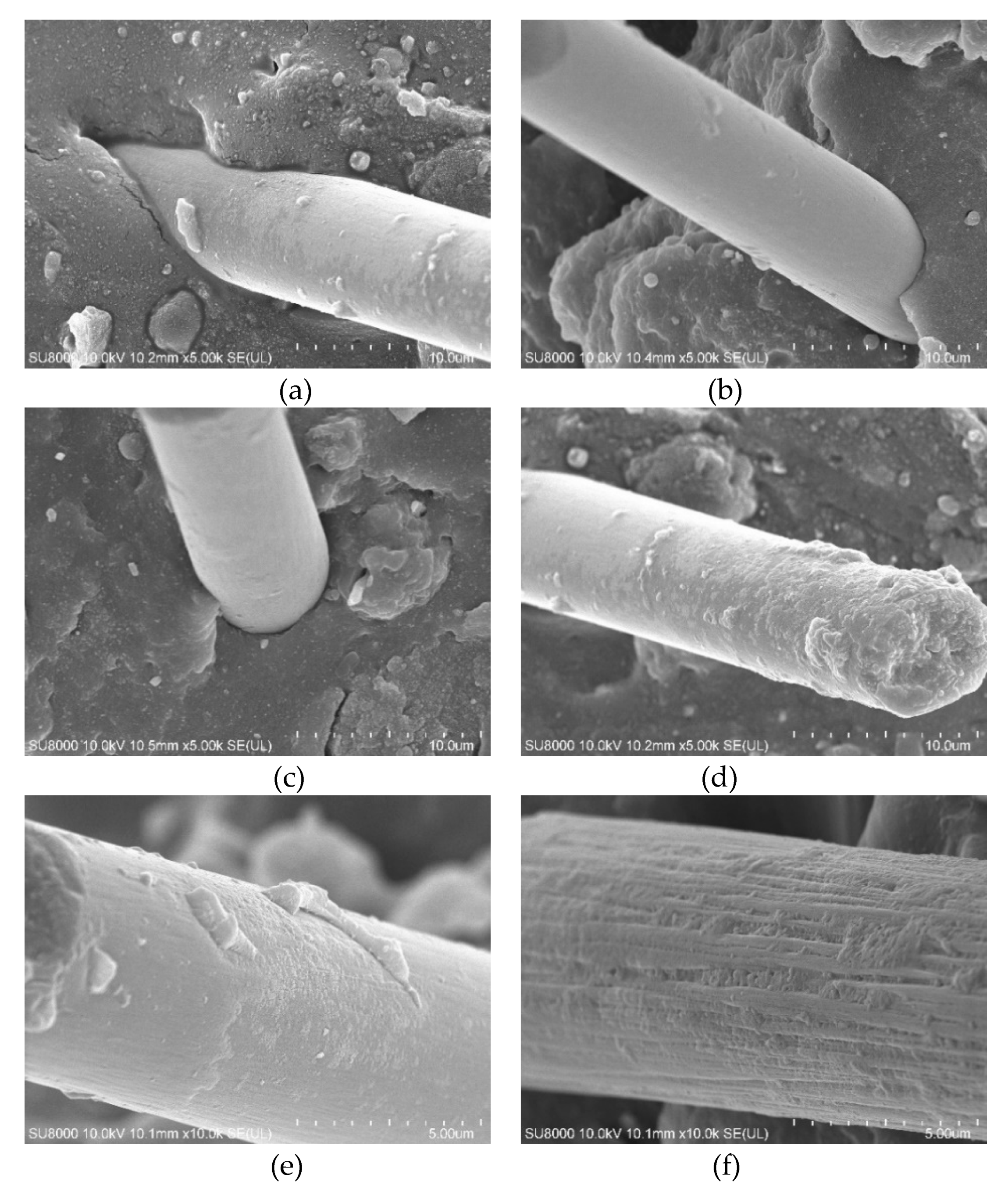 Polymers 12 00988 g005