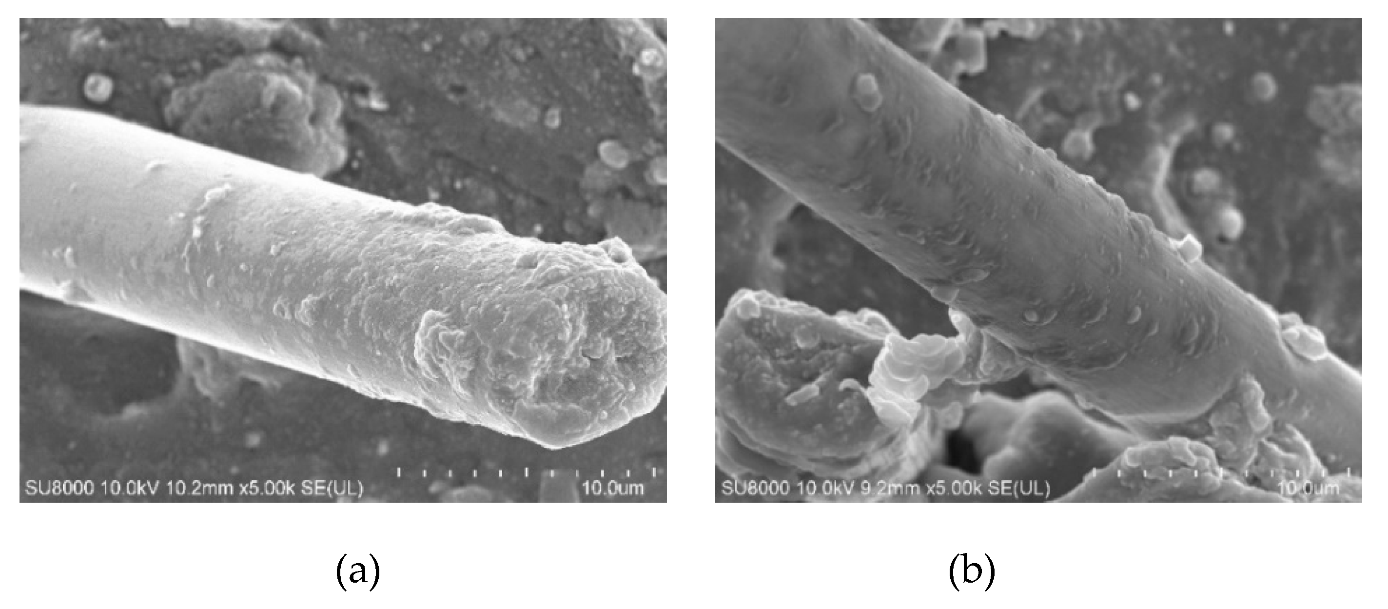 Polymers 12 00988 g006a