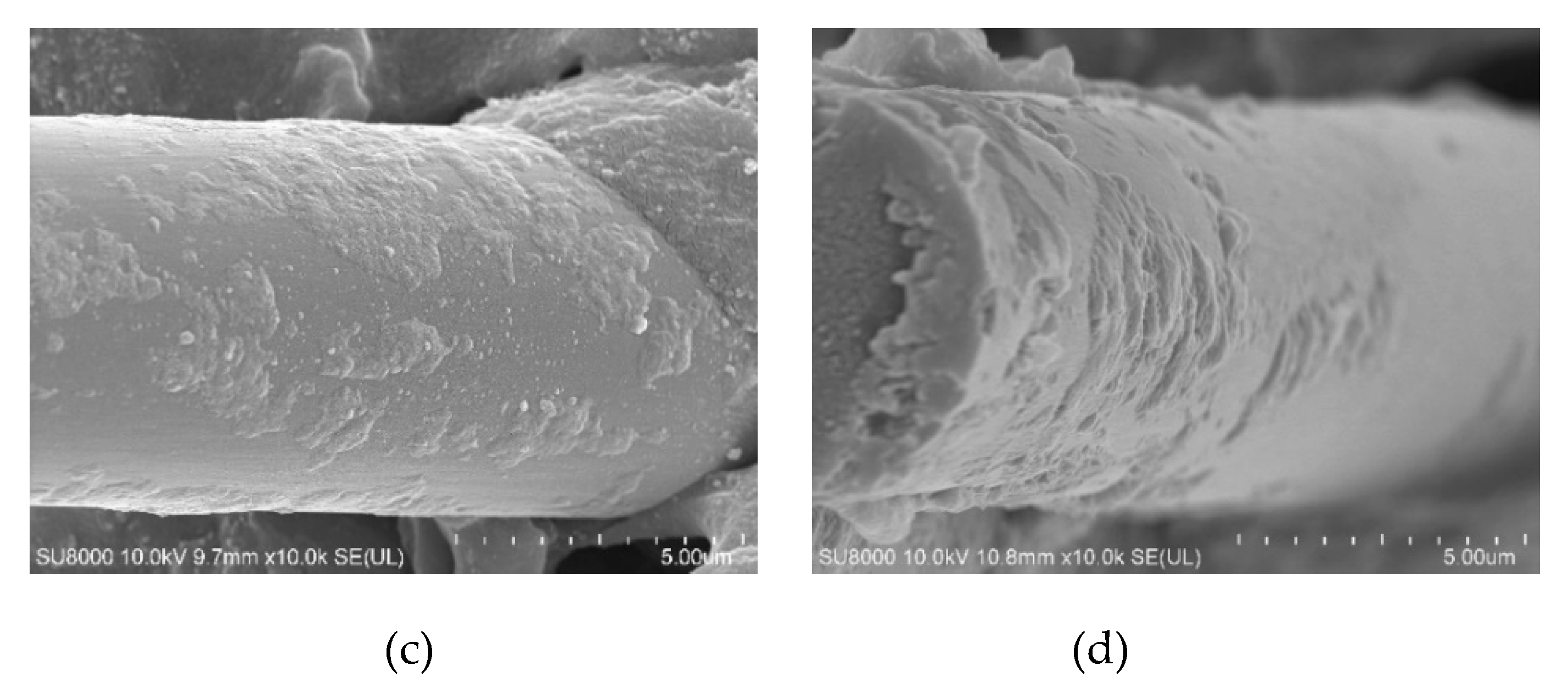 Polymers 12 00988 g006b