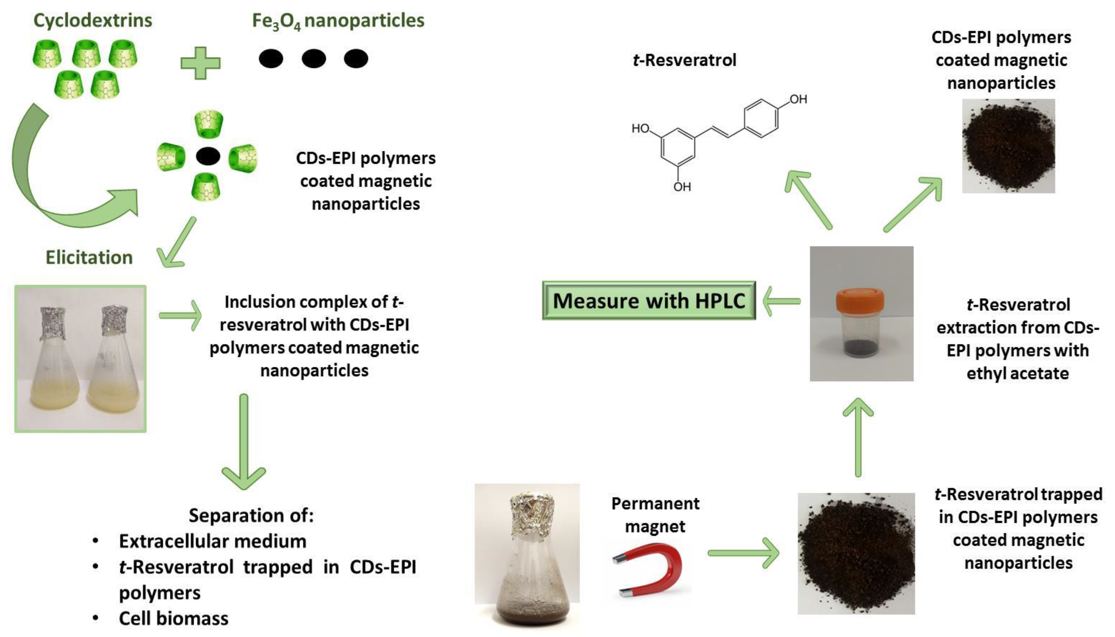 Polymers 12 00991 g001