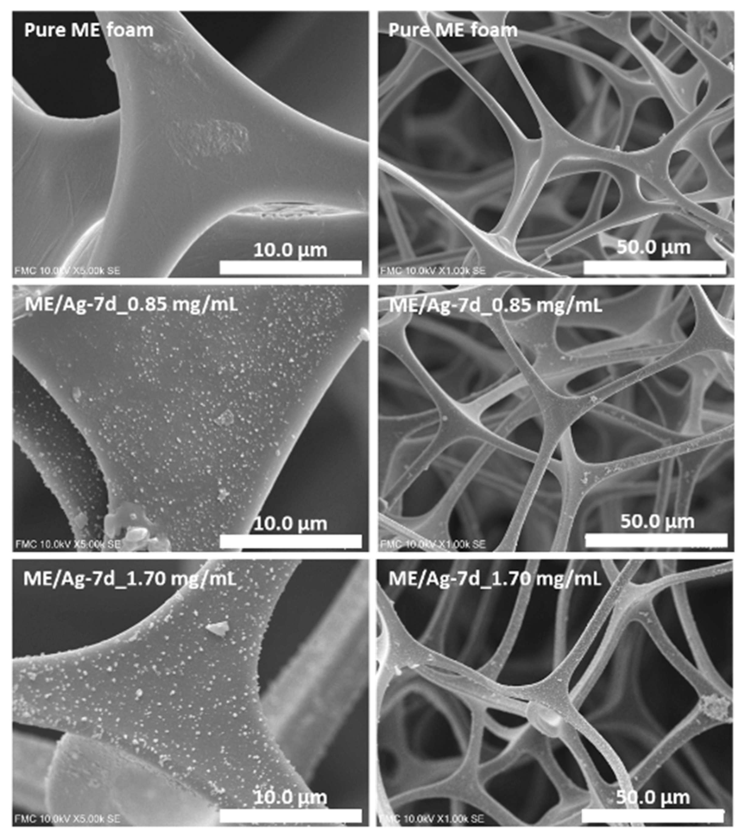 Polymers 12 00996 g001 Polymers 12 00996 g001