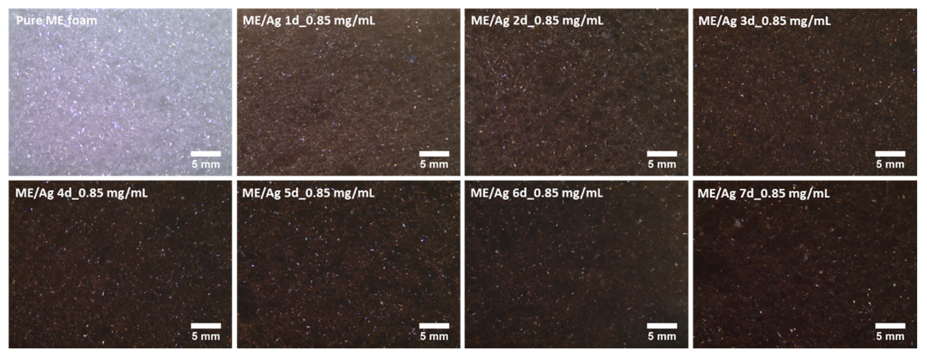 Polymers 12 00996 g002 Polymers 12 00996 g002