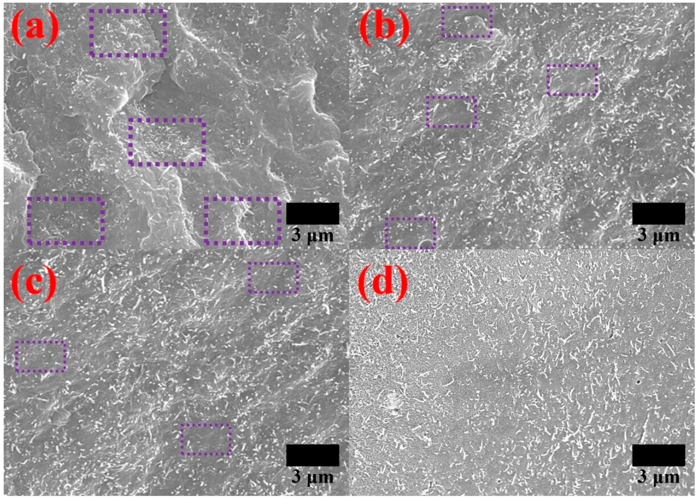Polymers 12 00997 g005 Polymers 12 00997 g005