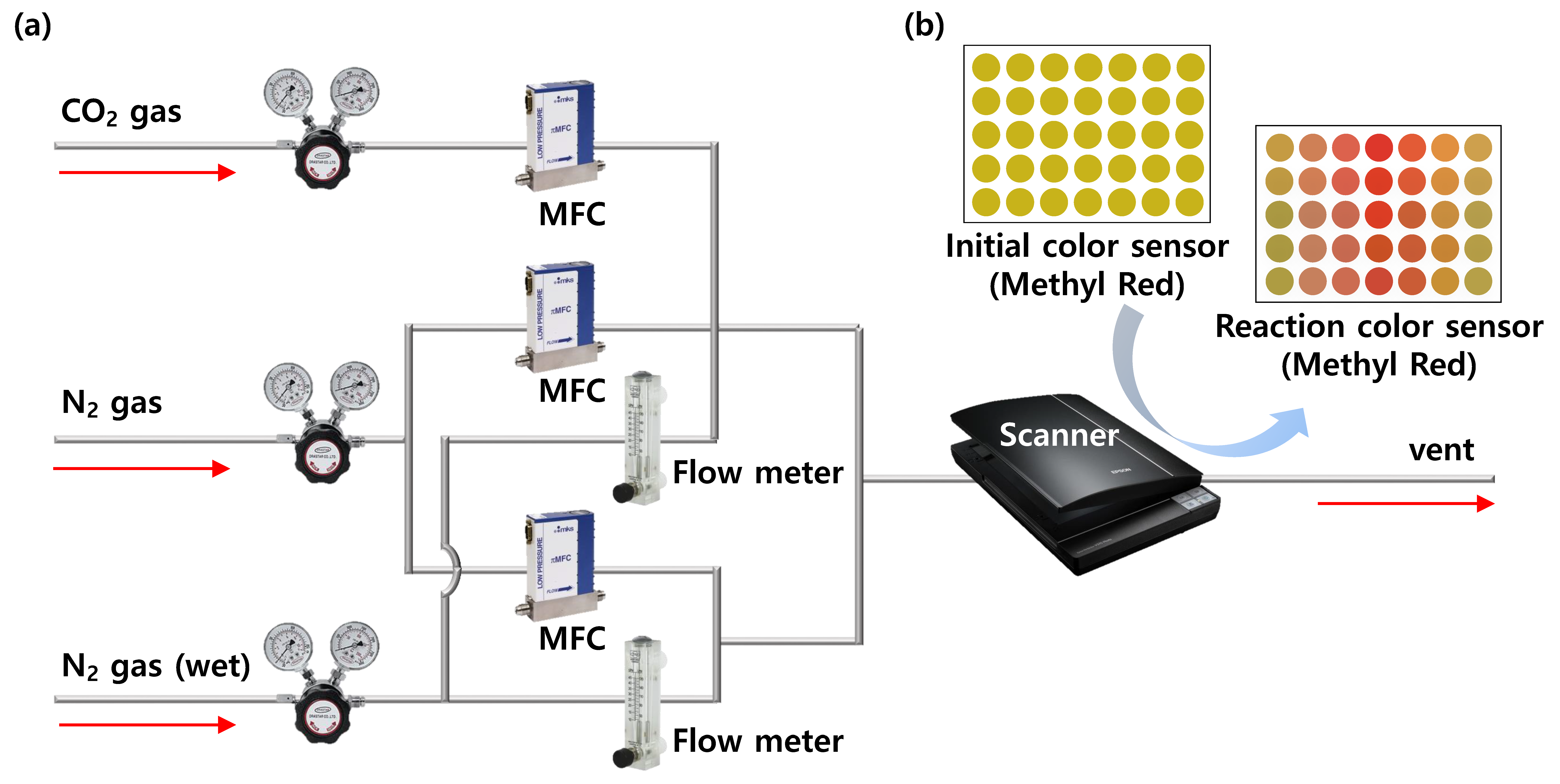 Polymers 12 00998 sch002