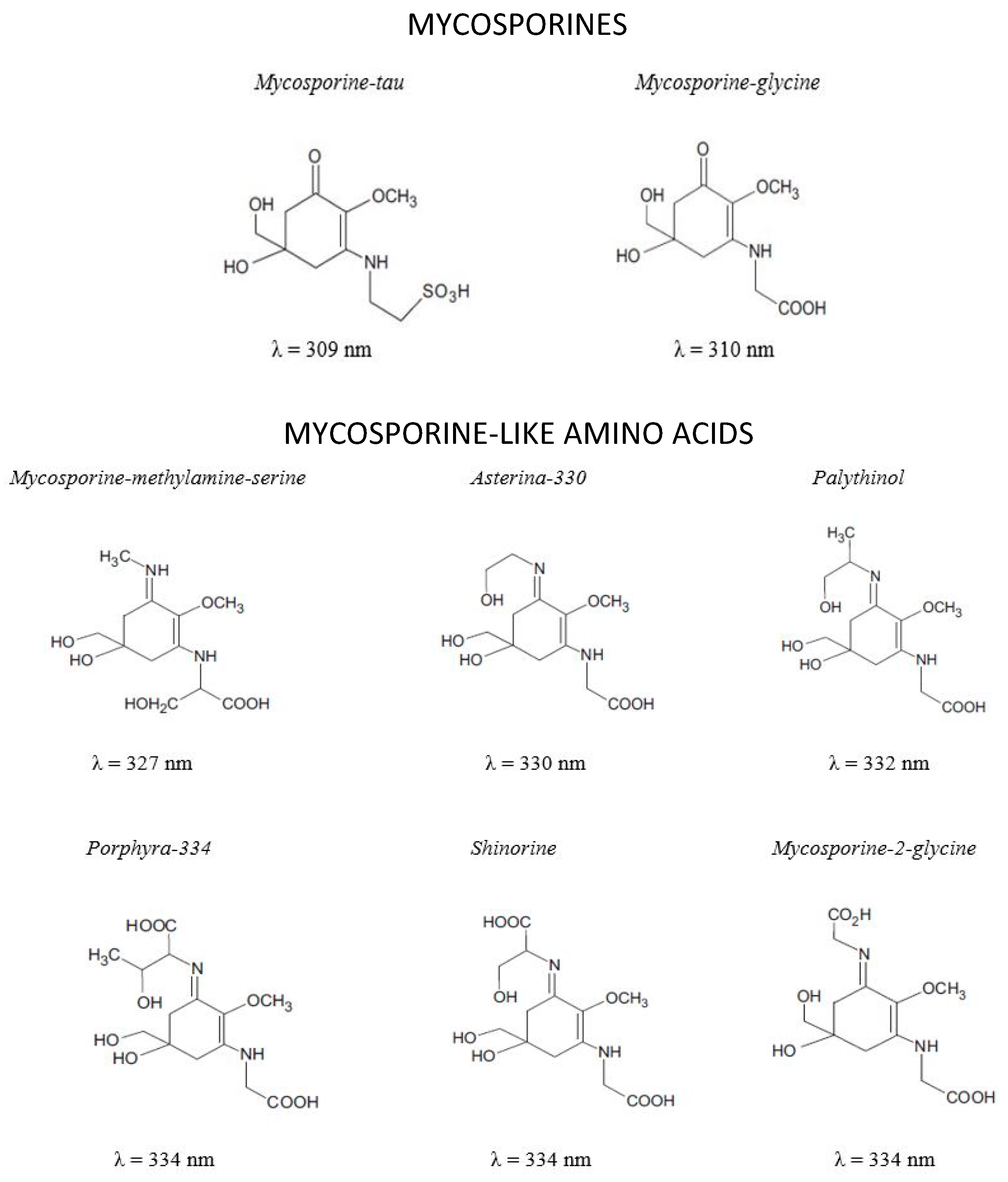 Polymers 12 01002 g002