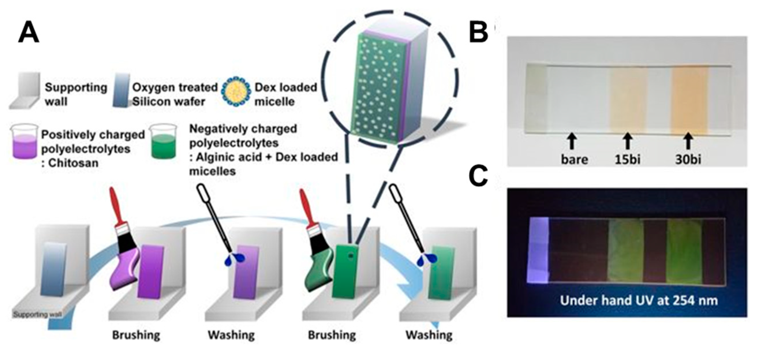 Polymers 12 01003 g003