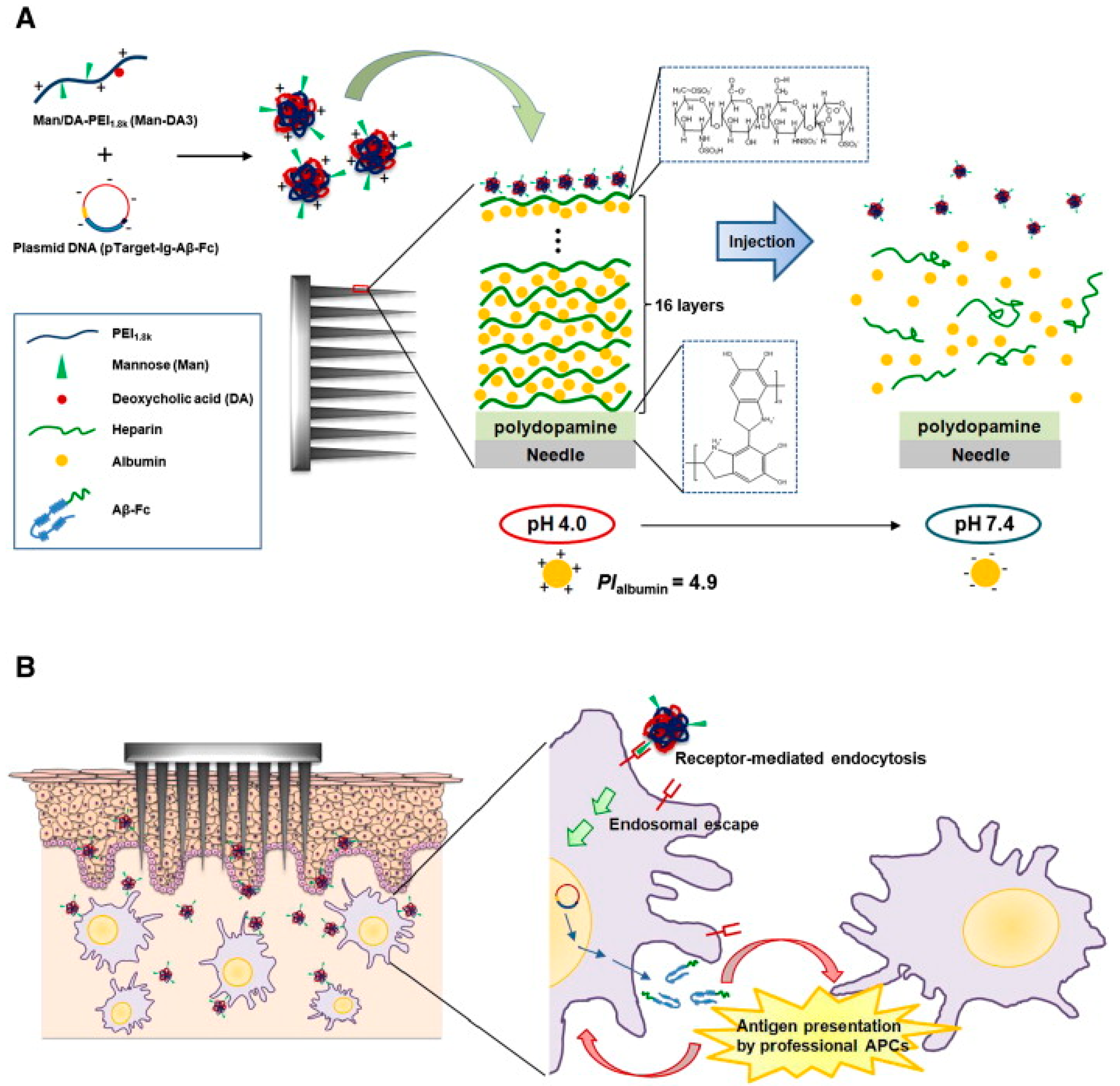Polymers 12 01003 g004