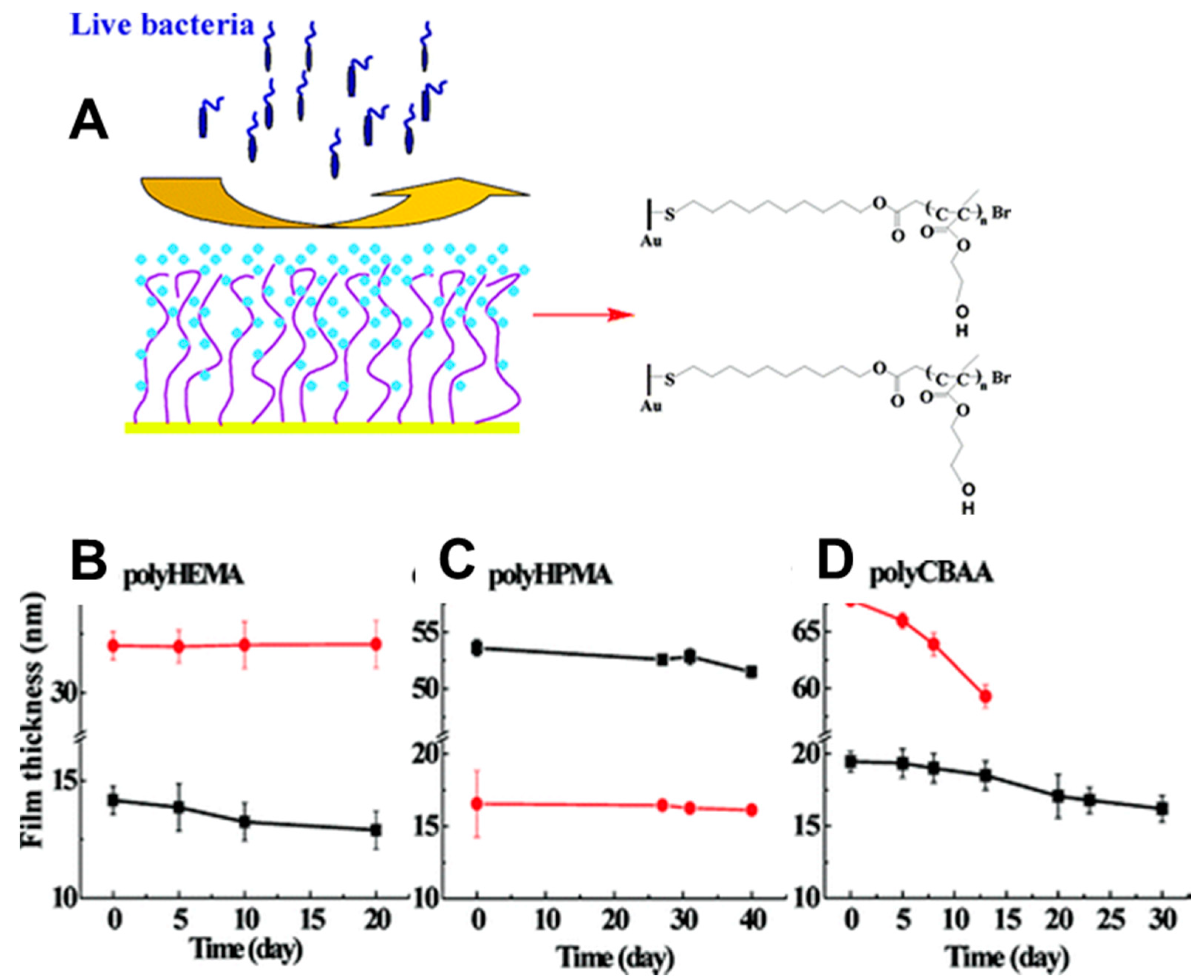 Polymers 12 01003 g006