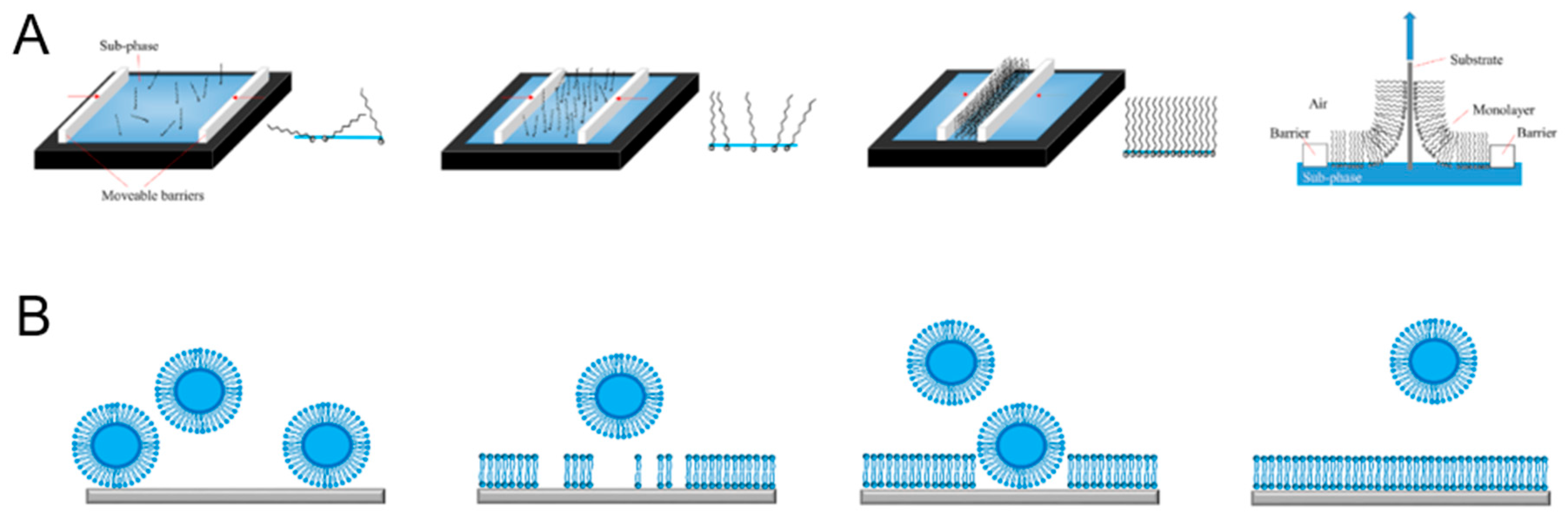 Polymers 12 01003 g008